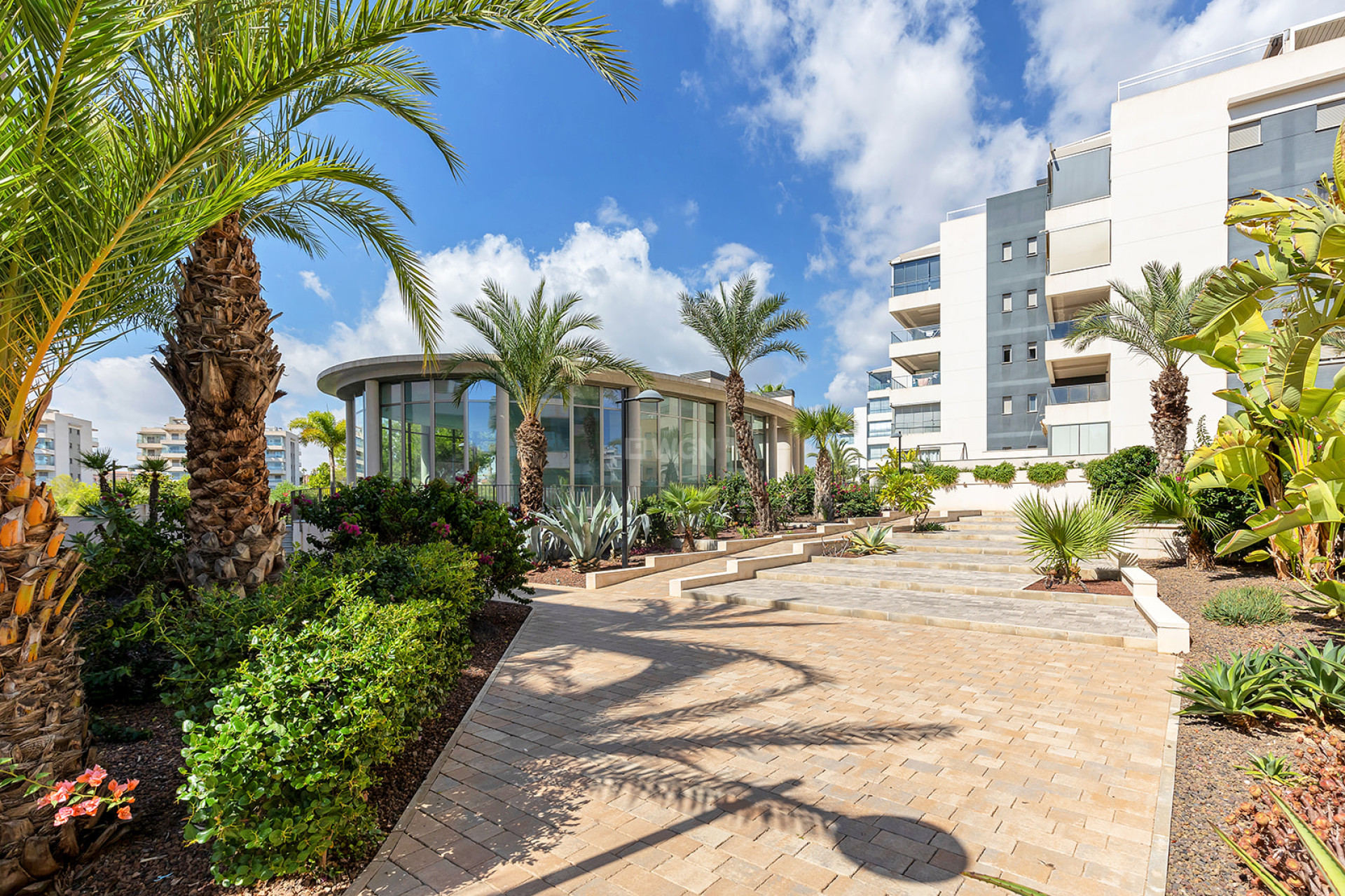 Resale - Penthouse - Torrevieja - Costa Blanca