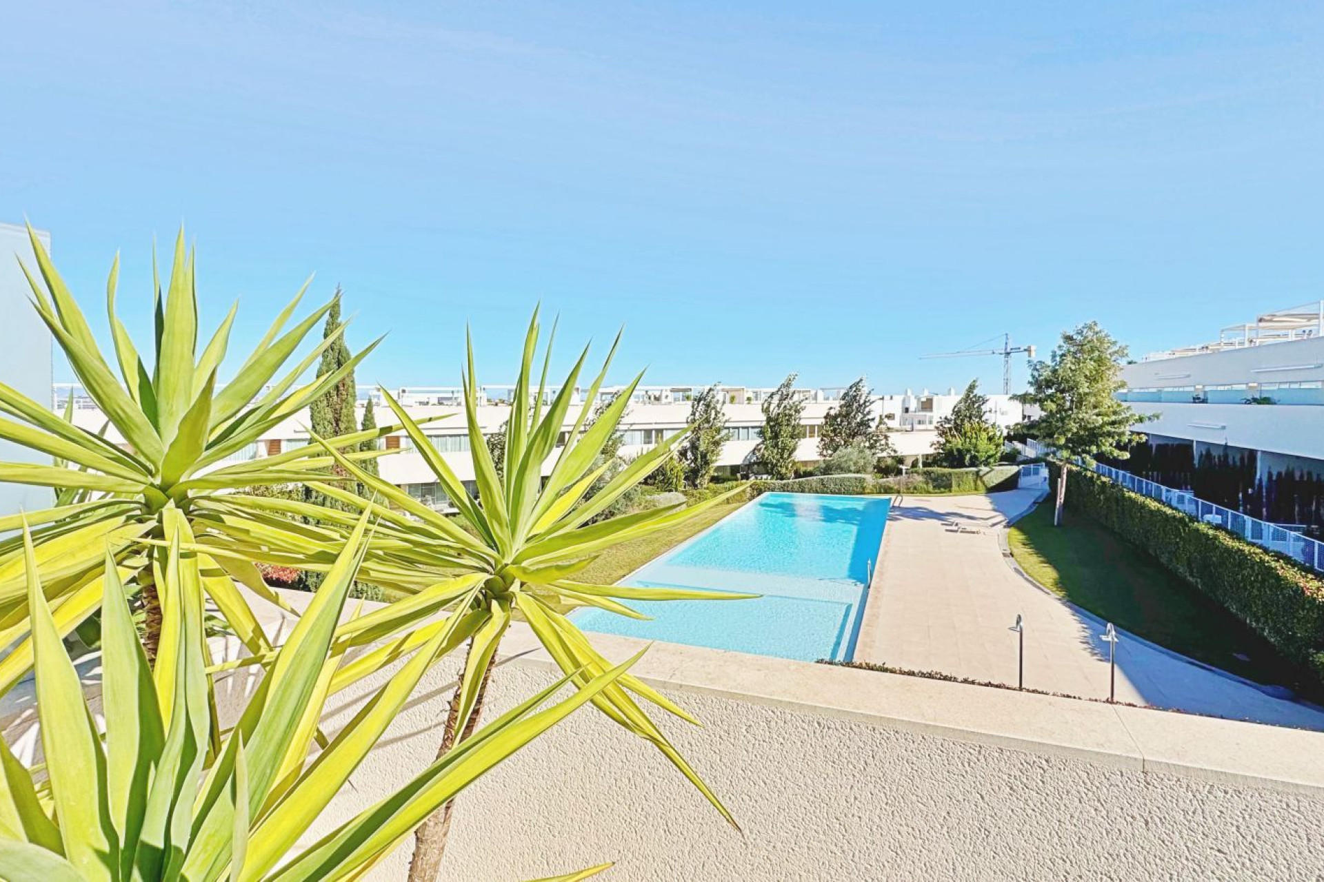 Resale - Penthouse - Torrevieja - Costa Blanca