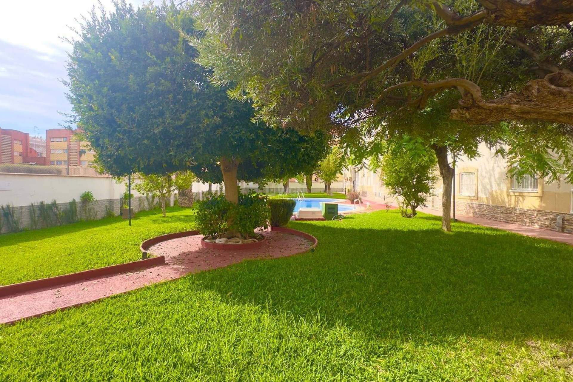 Resale - Penthouse - Torrevieja - Estacion De Autobuses