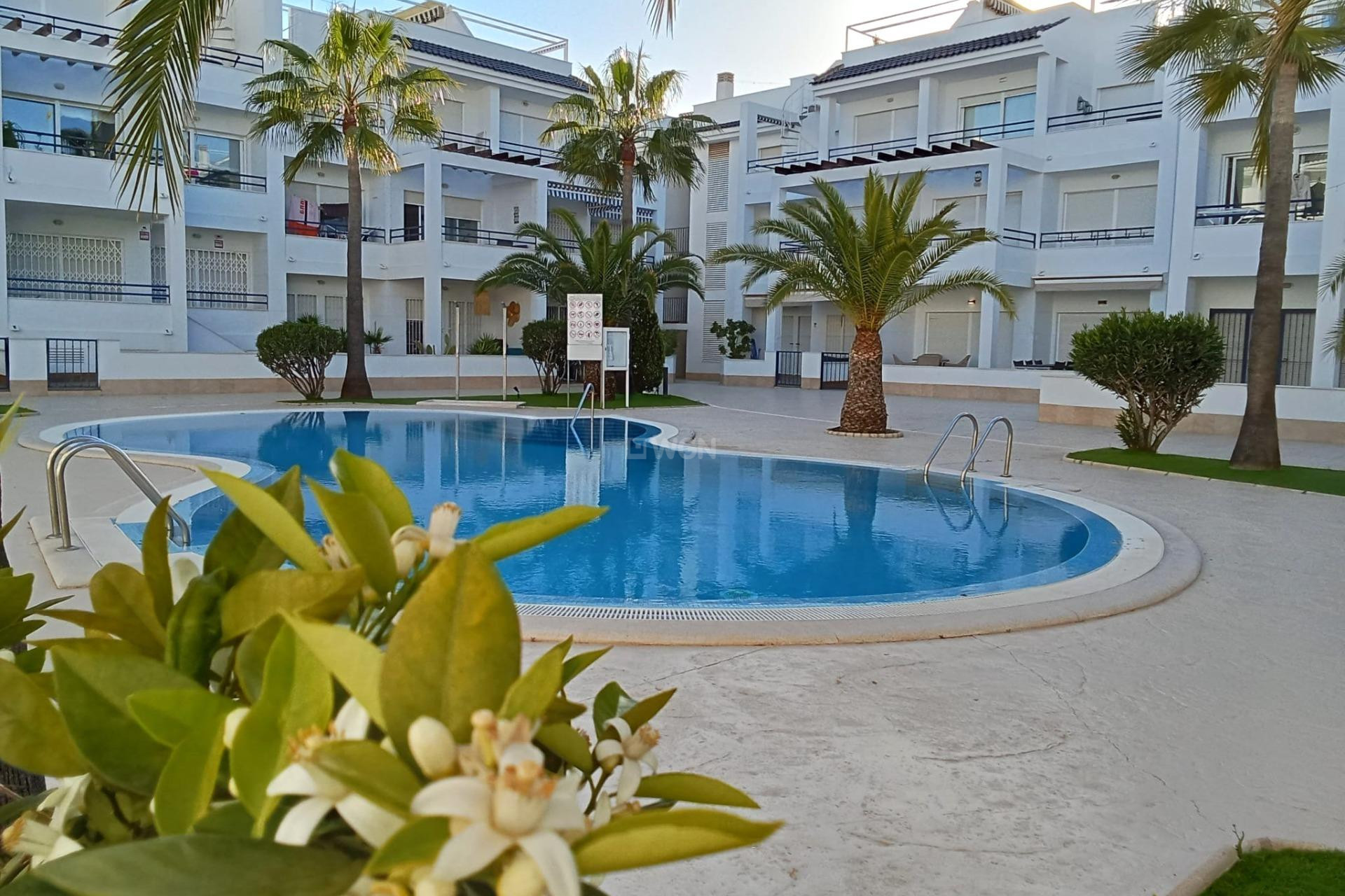 Resale - Penthouse - Torrevieja - La Veleta