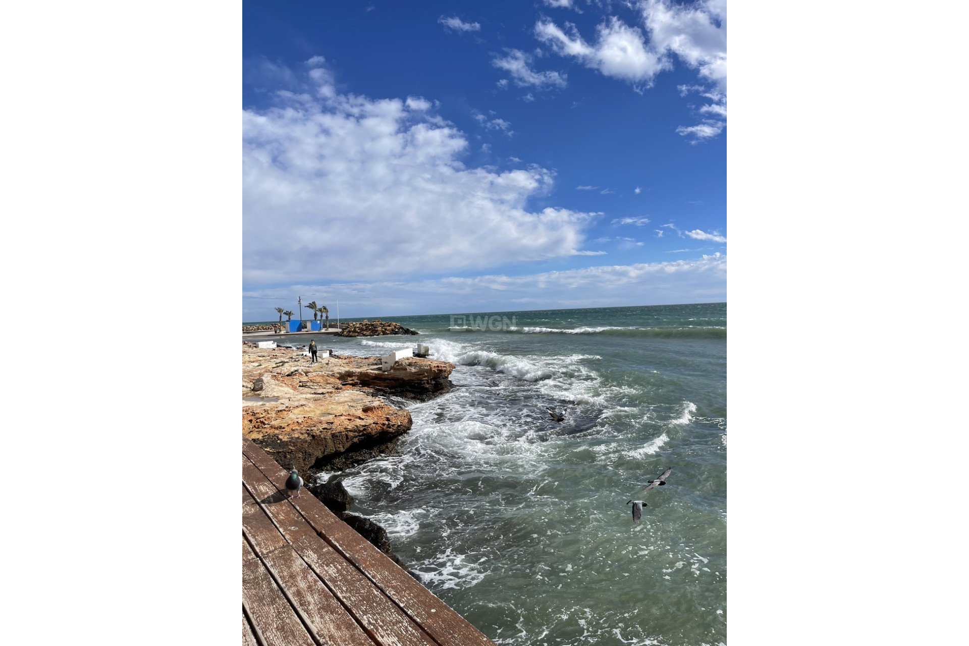 Resale - Penthouse - Torrevieja - Playa de cura