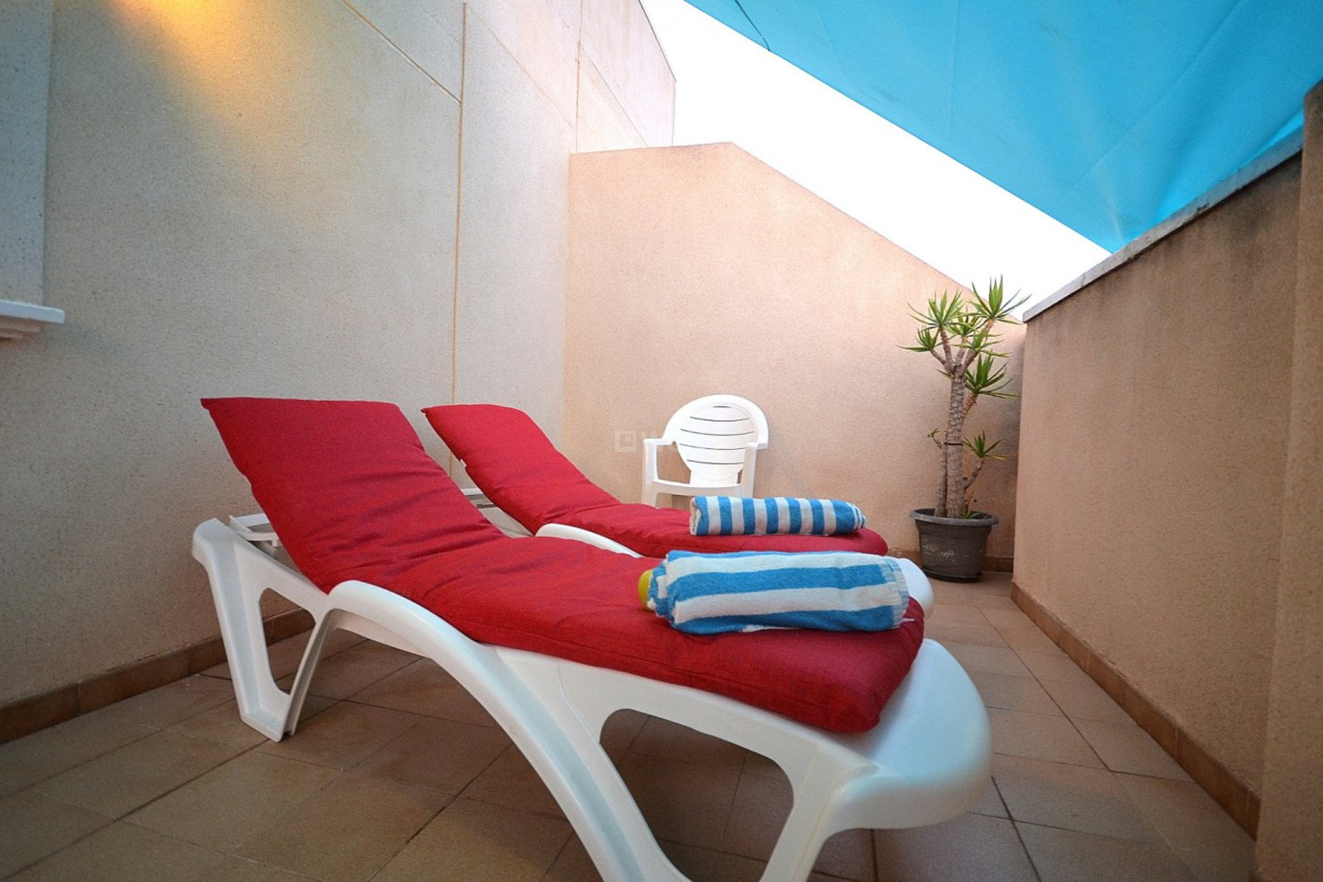 Resale - Penthouse - Torrevieja - Playa del Cura