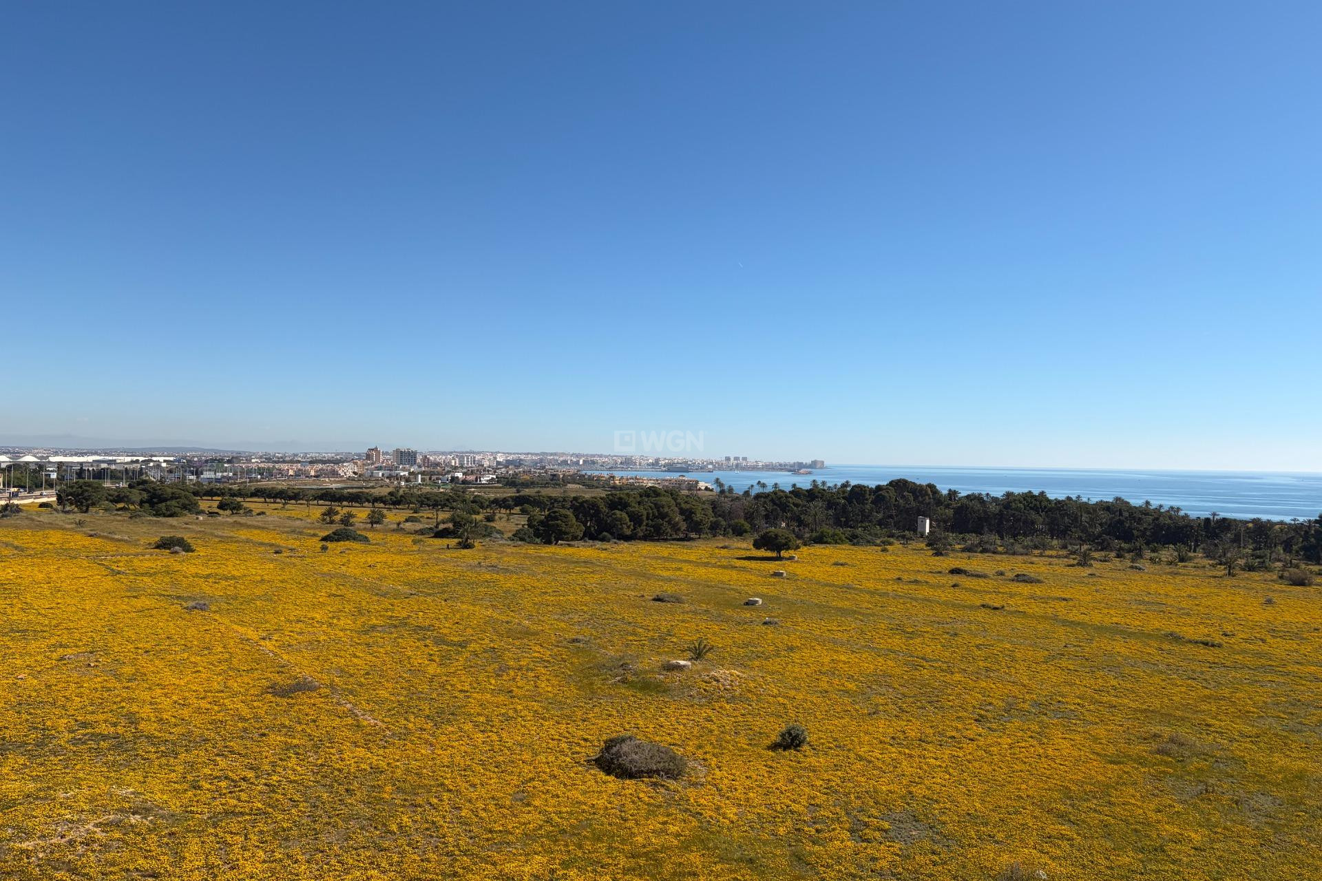 Resale - Penthouse - Torrevieja - Punta Prima