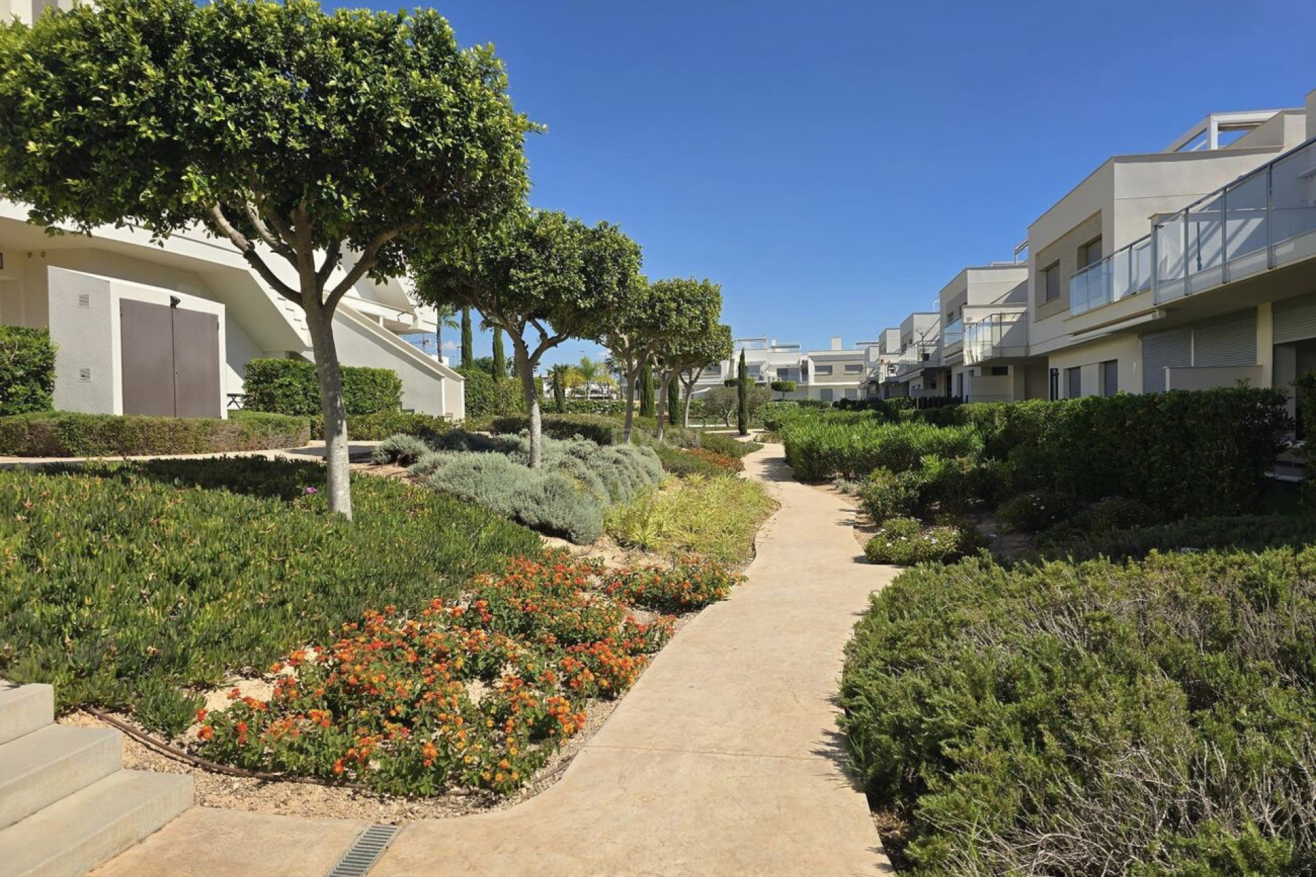 Resale - Penthouse - Vistabella Golf Entre Naranjos