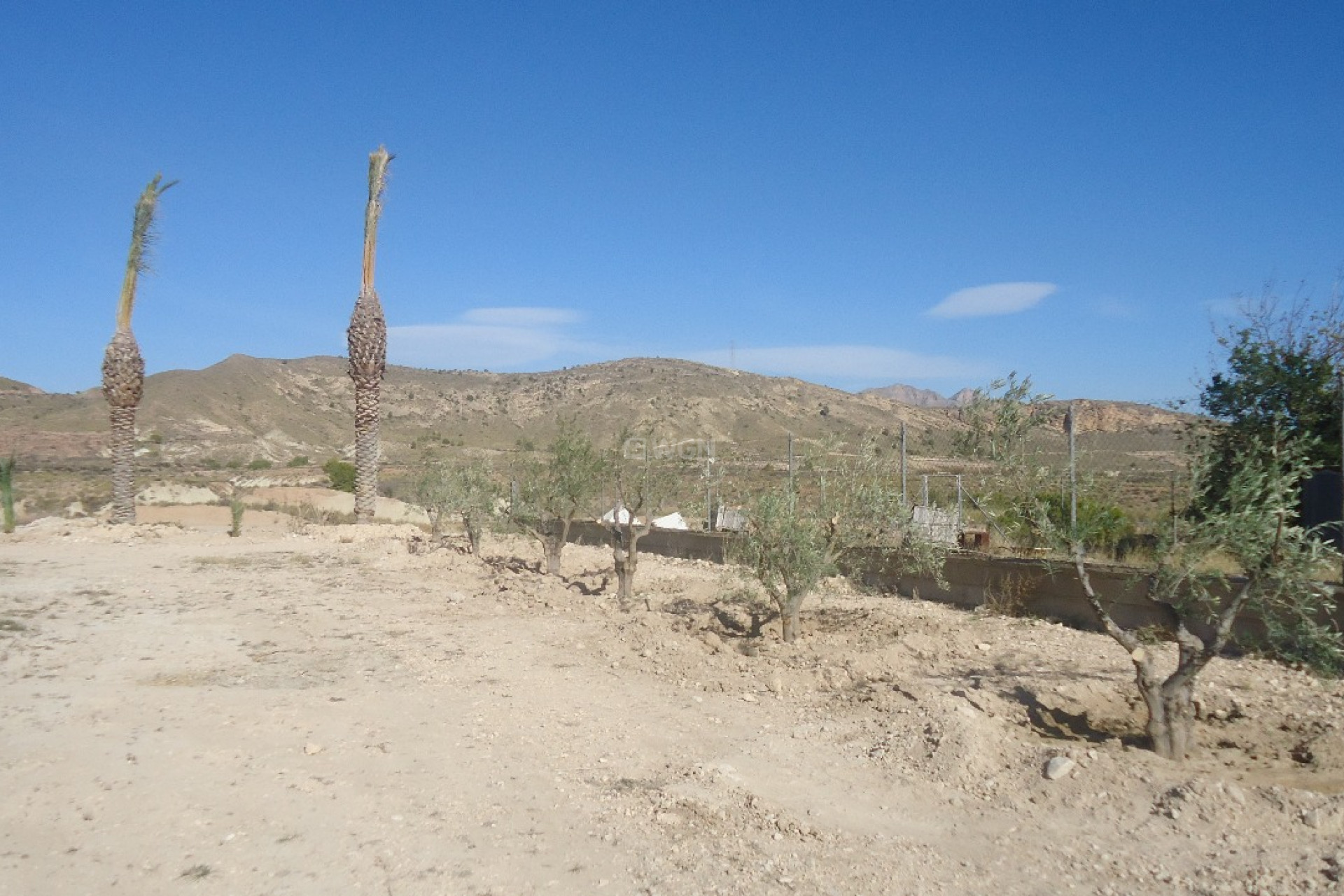 Resale - Plot / Land - Abanilla - Inland