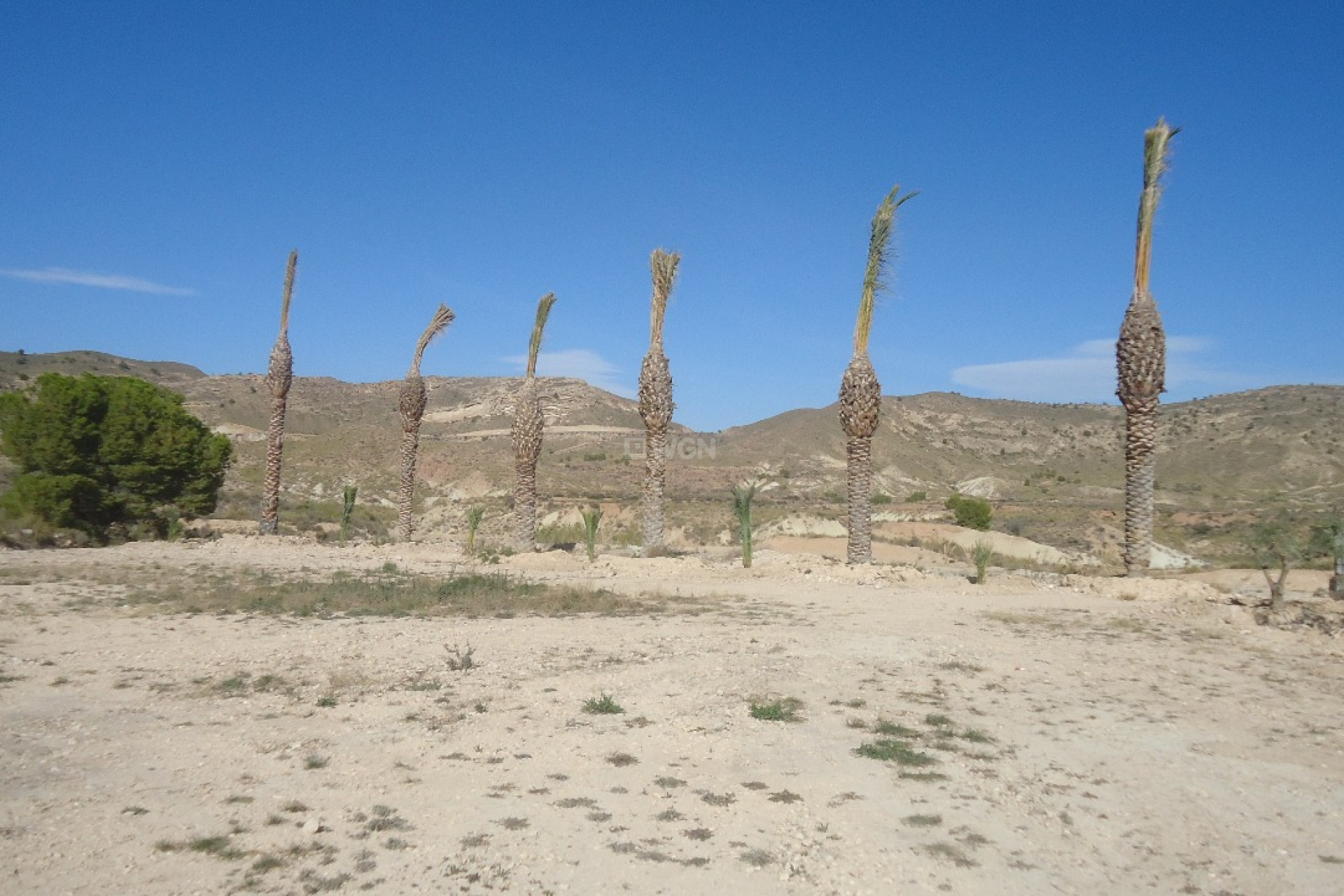 Resale - Plot / Land - Abanilla - Inland