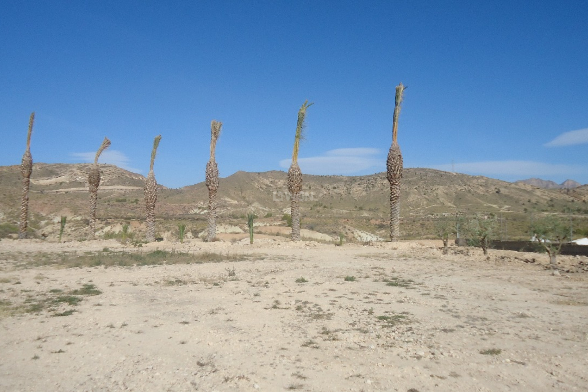 Resale - Plot / Land - Abanilla - Inland