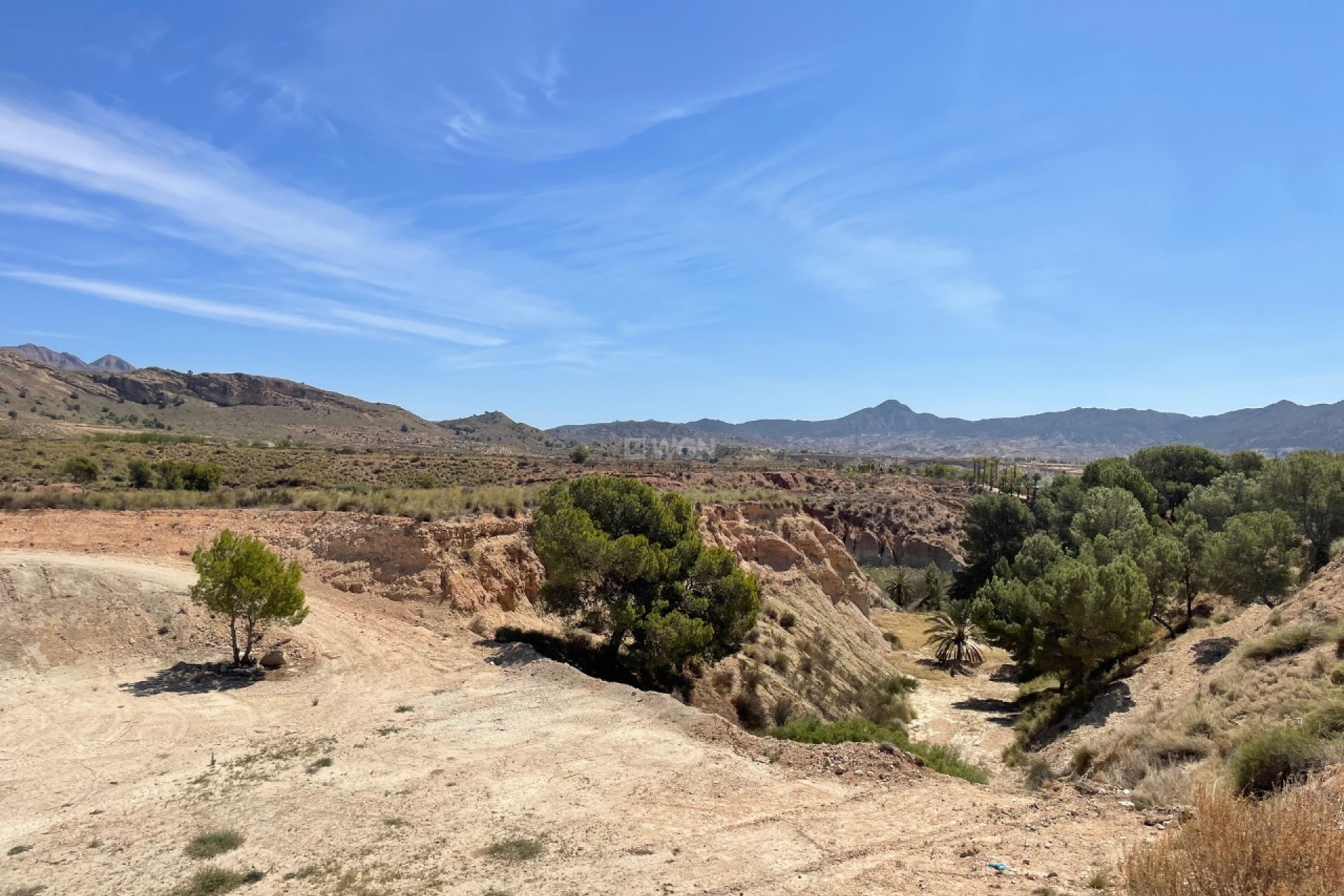 Resale - Plot / Land - Abanilla - Inland