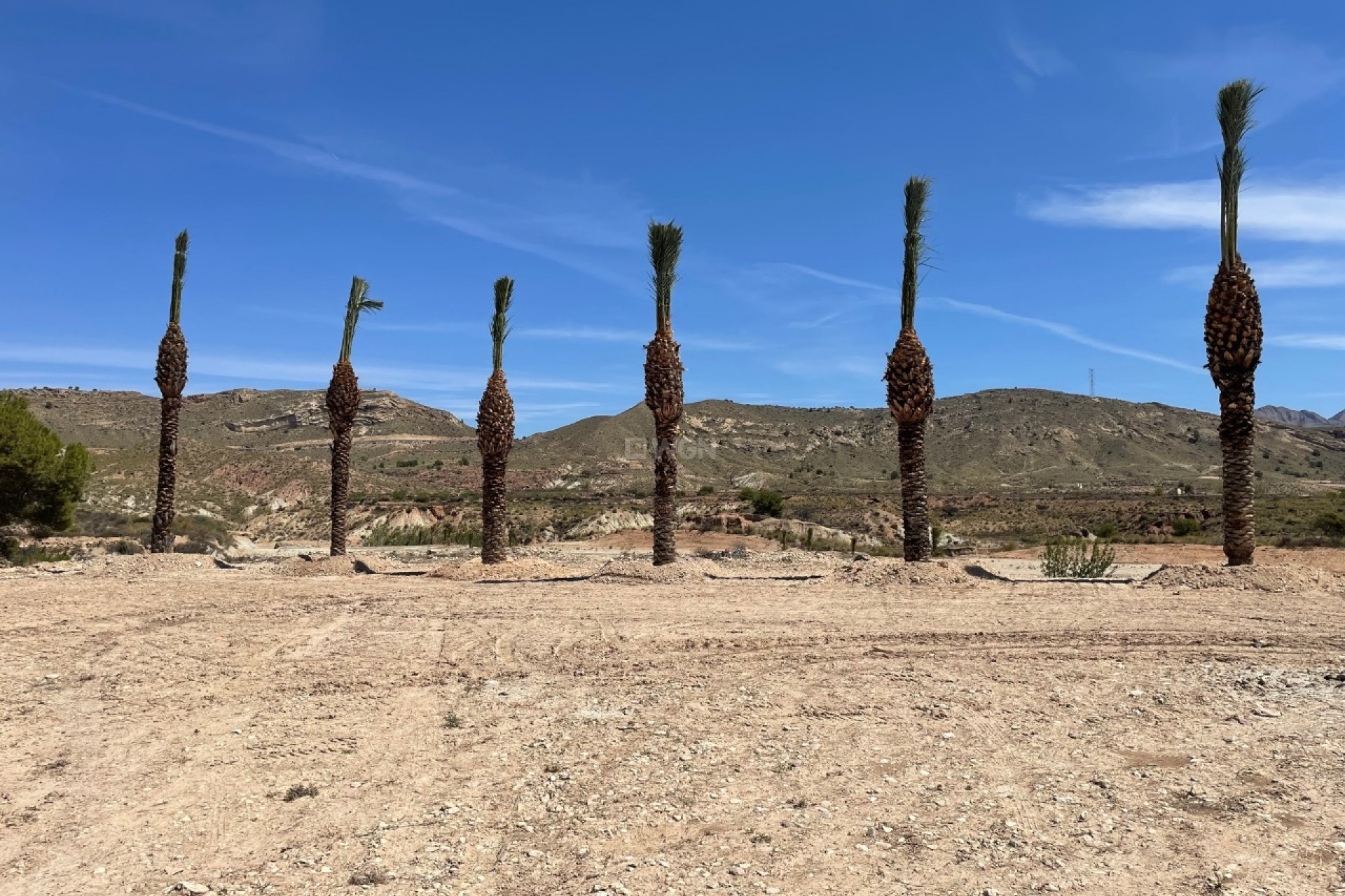 Resale - Plot / Land - Abanilla - Inland