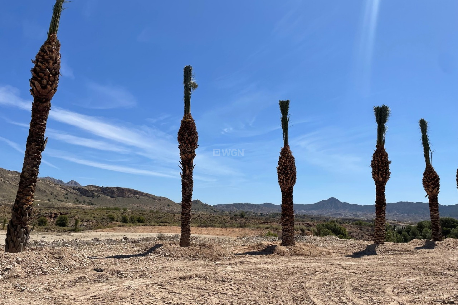 Resale - Plot / Land - Abanilla - Inland