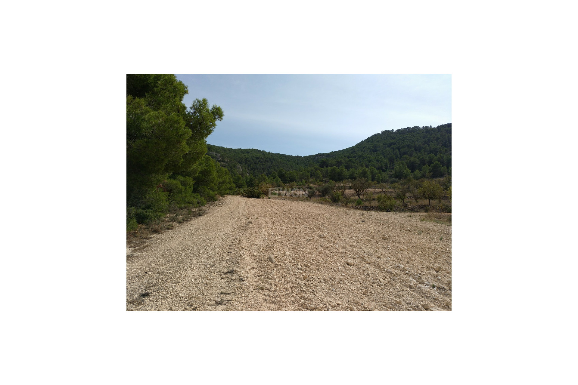 Resale - Plot / Land - Abanilla - Inland