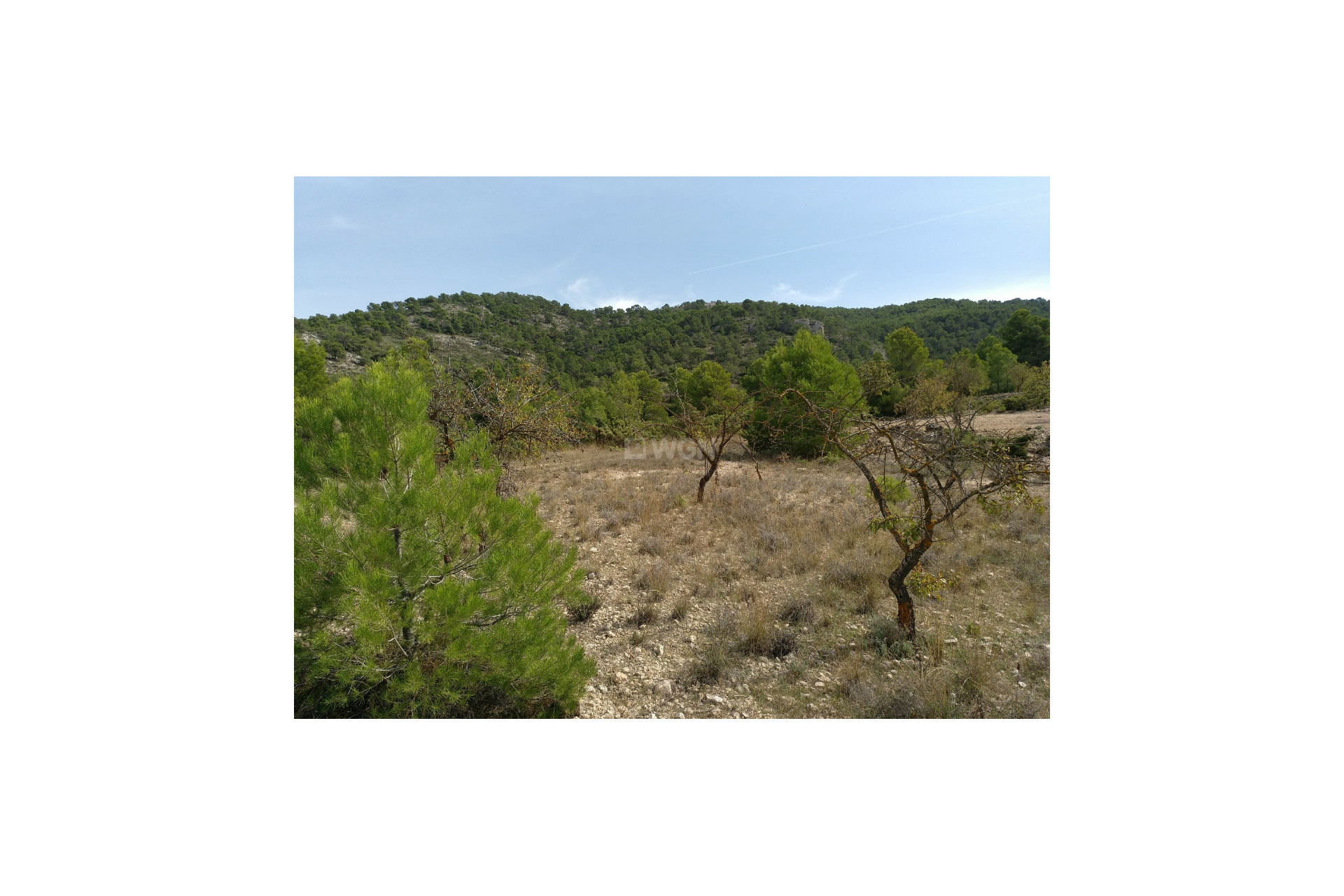 Resale - Plot / Land - Abanilla - Inland