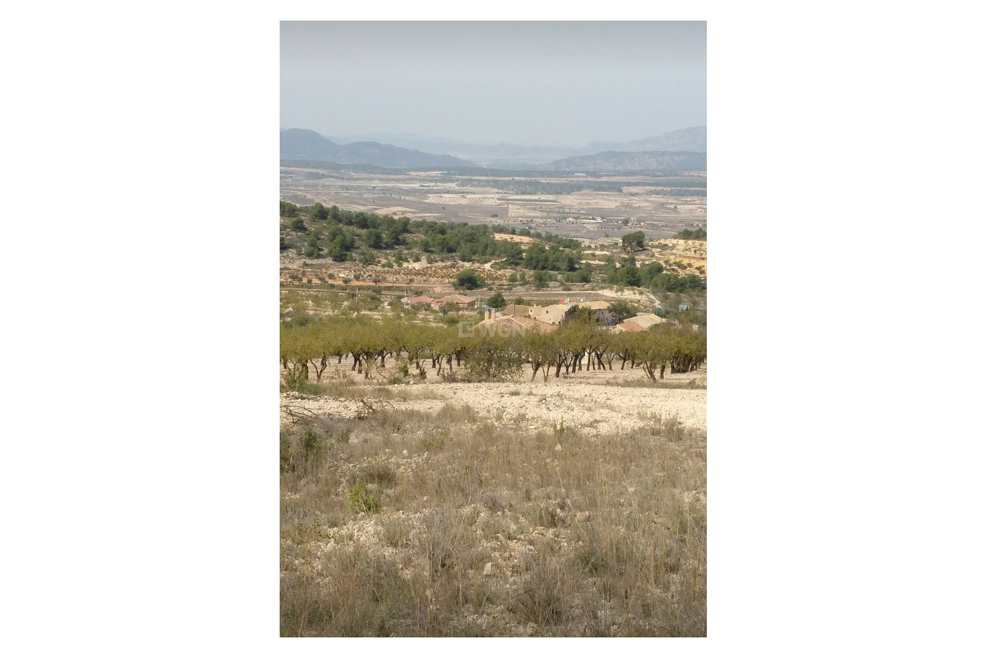 Resale - Plot / Land - Abanilla - Inland