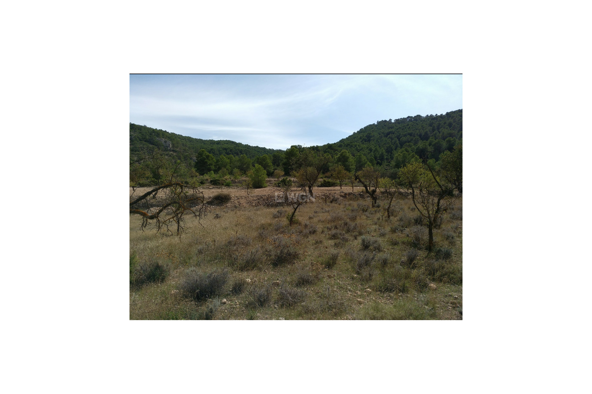 Resale - Plot / Land - Abanilla - Inland