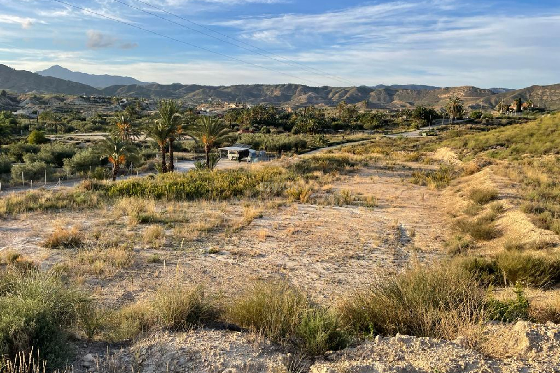 Resale - Plot / Land - Abanilla - Inland