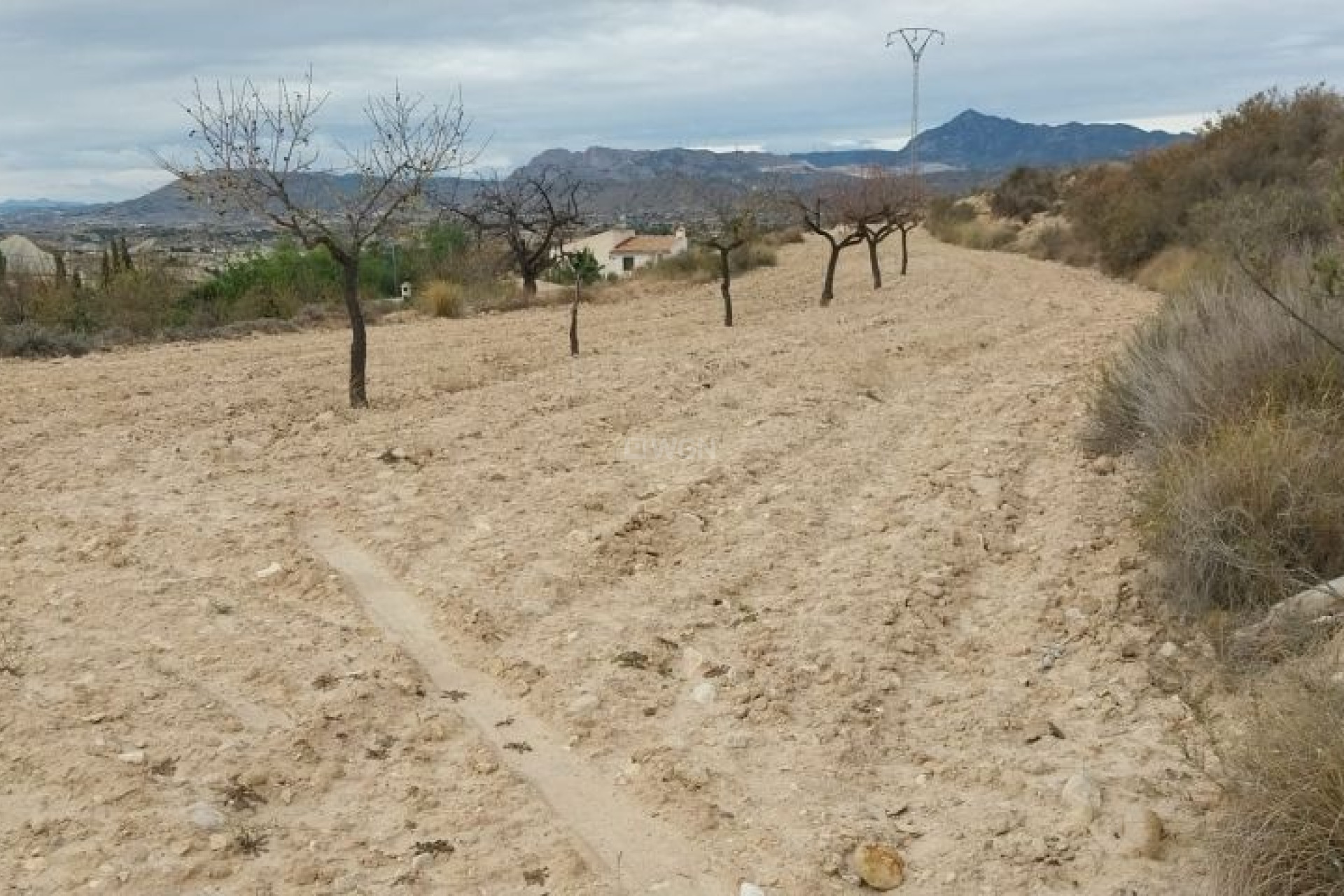 Resale - Plot / Land - Abanilla - Inland