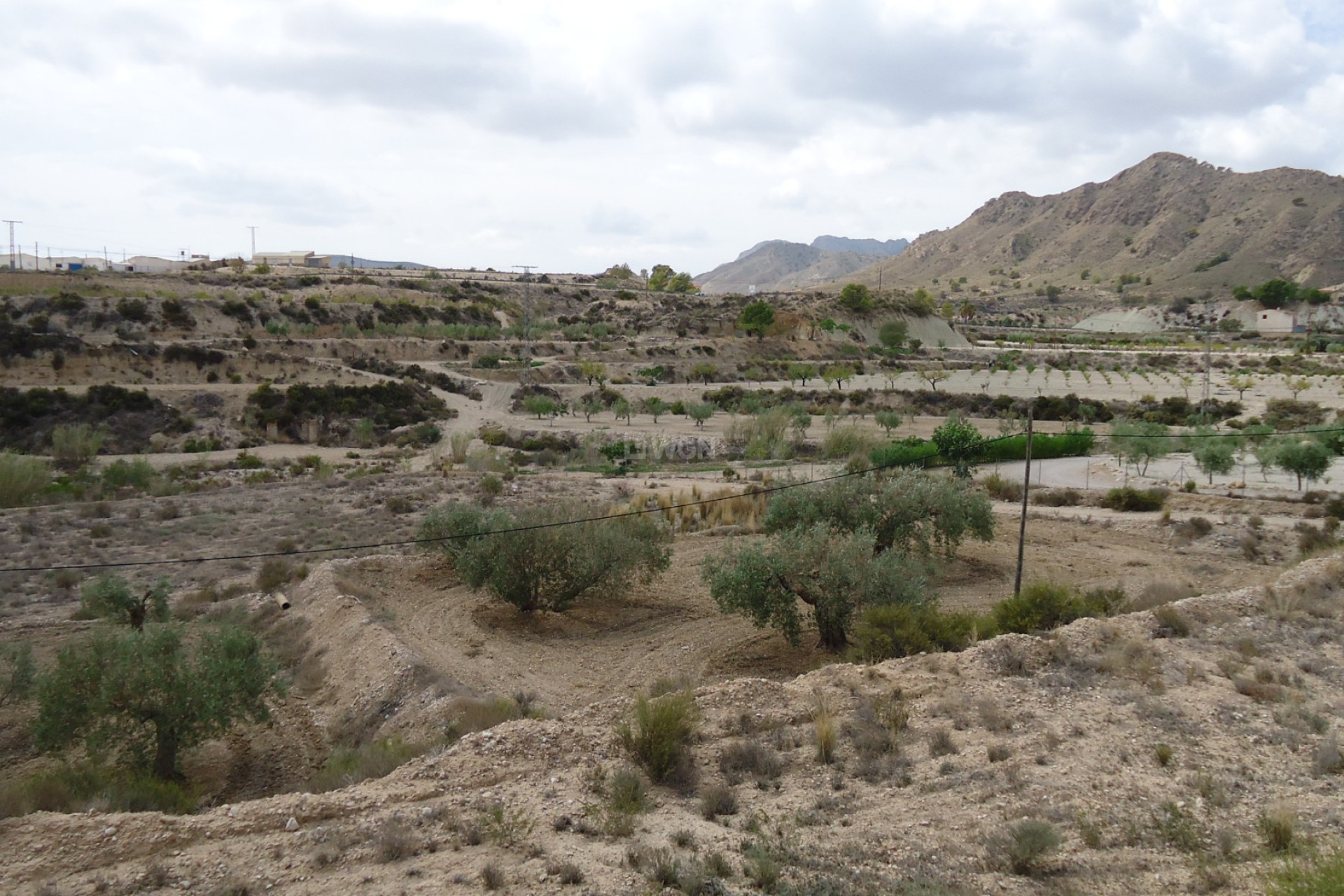 Resale - Plot / Land - Abanilla - Inland