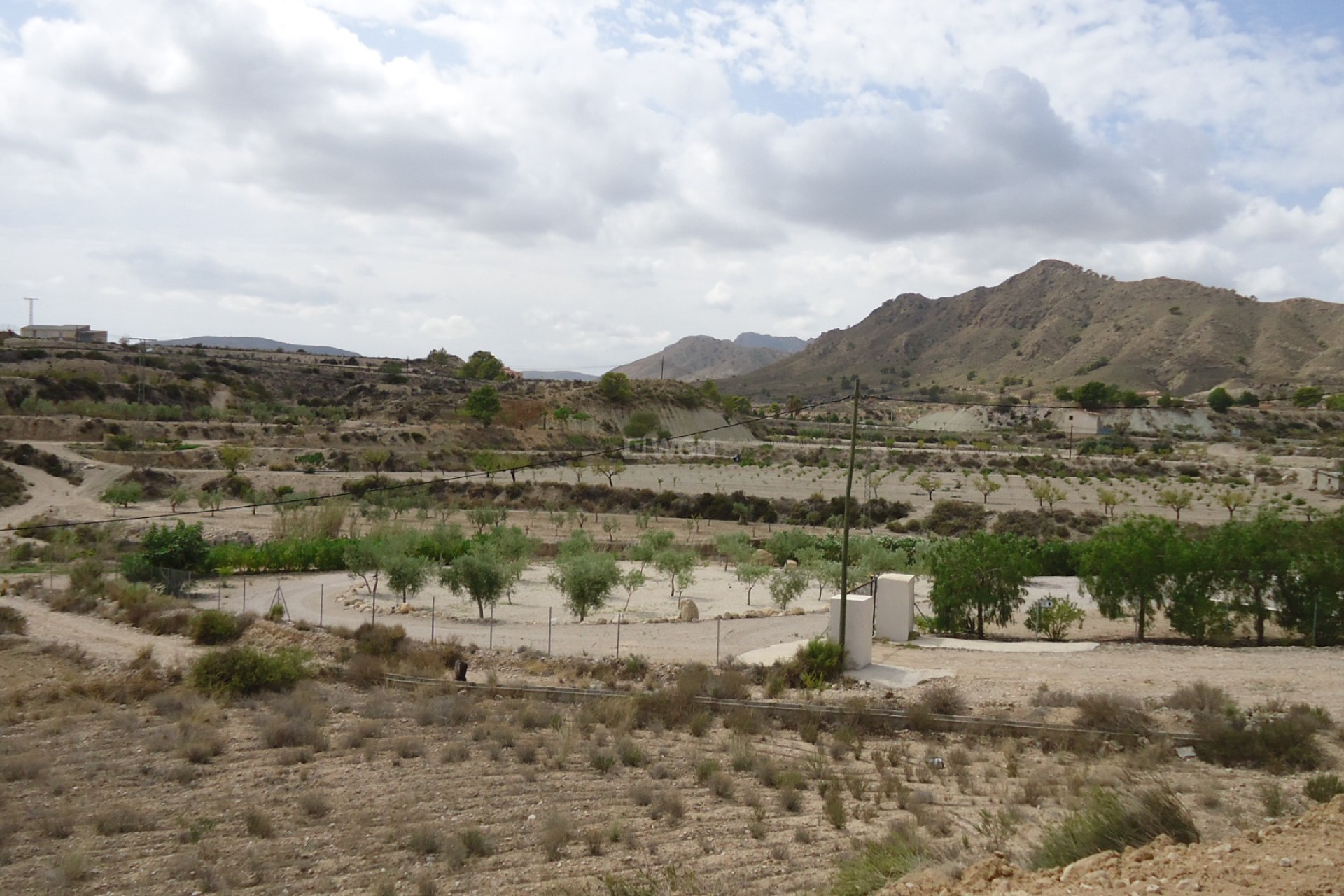 Resale - Plot / Land - Abanilla - Inland