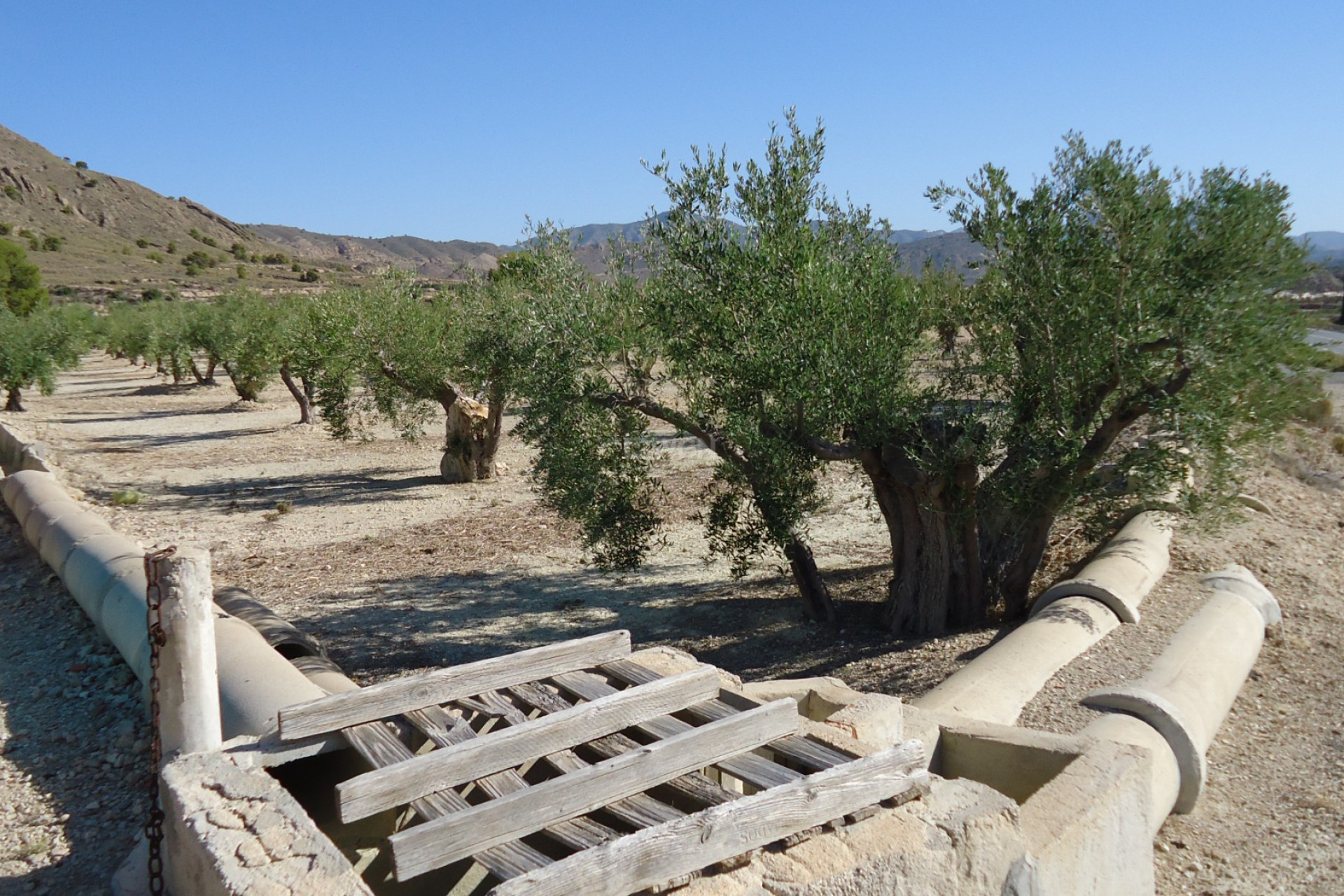 Resale - Plot / Land - Abanilla - Inland