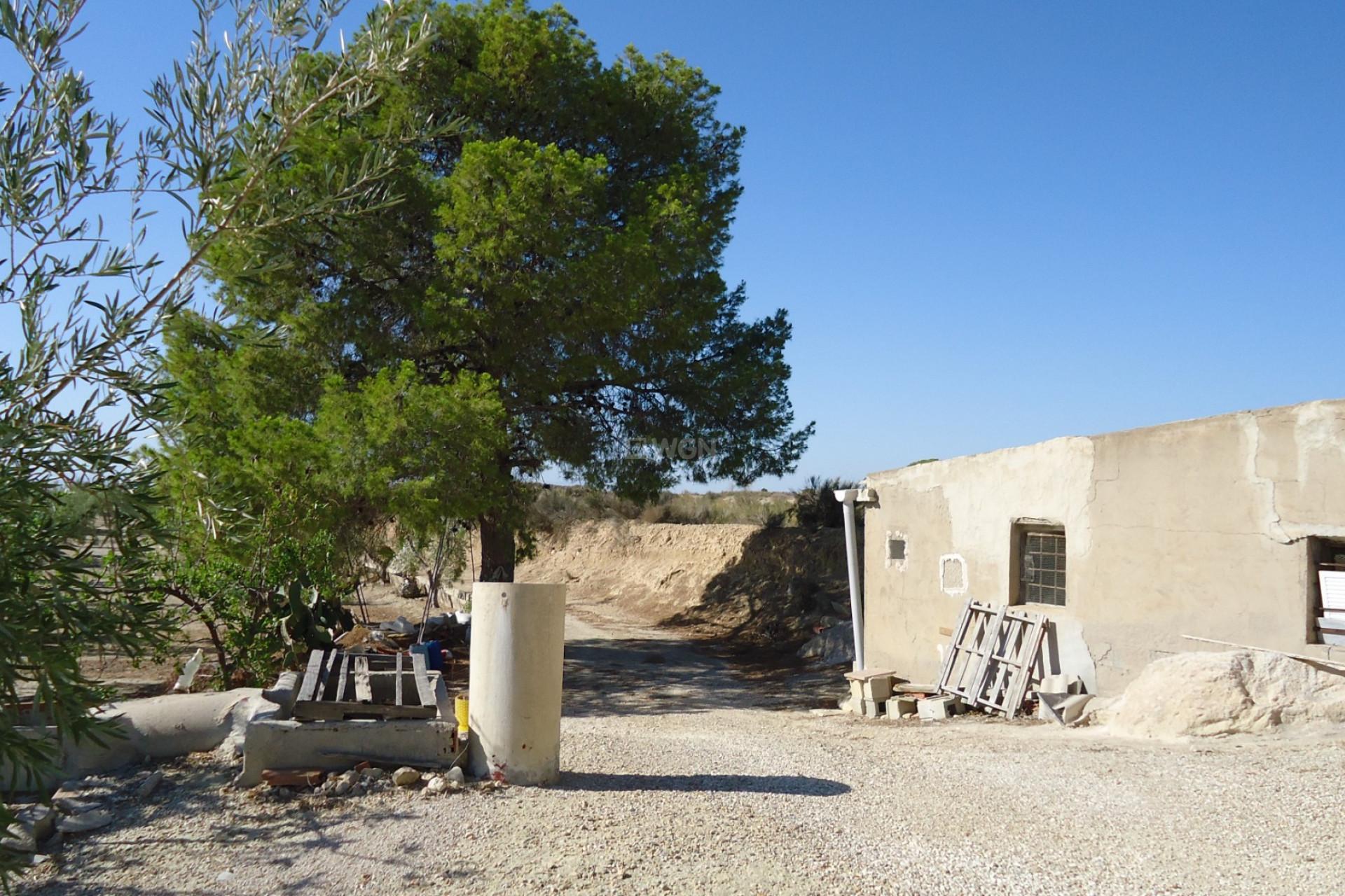 Resale - Plot / Land - Abanilla - Inland