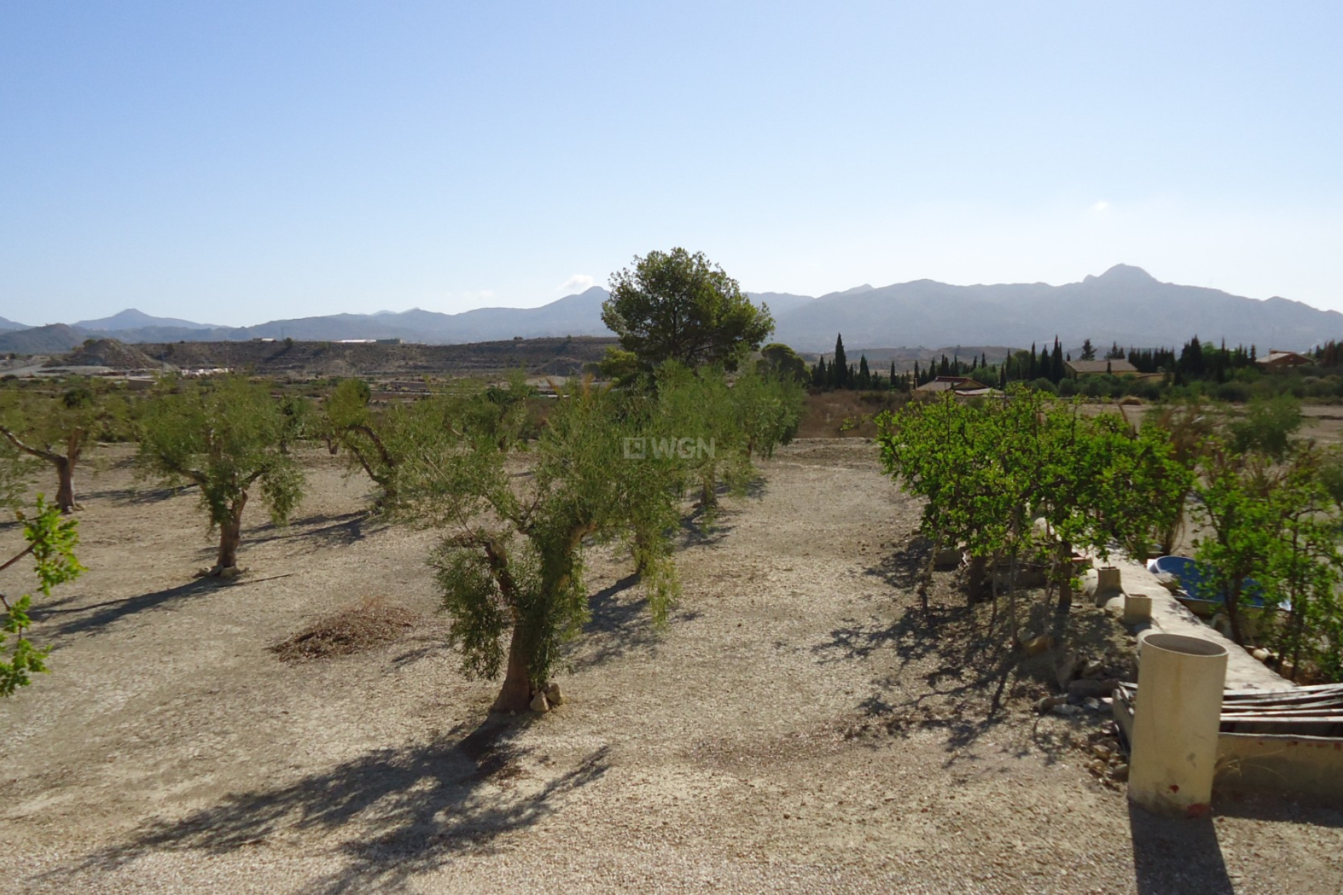 Resale - Plot / Land - Abanilla - Inland