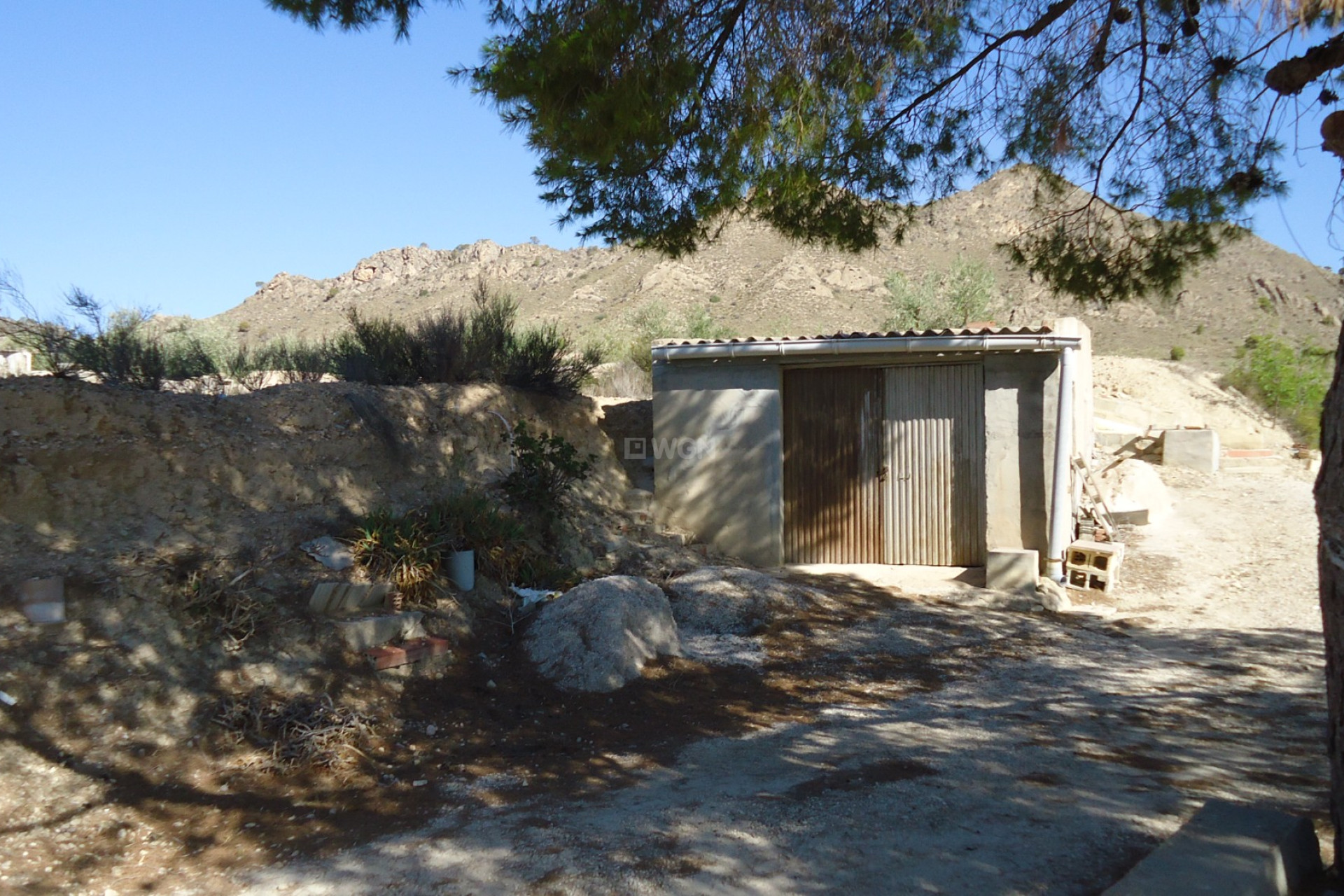 Resale - Plot / Land - Abanilla - Inland