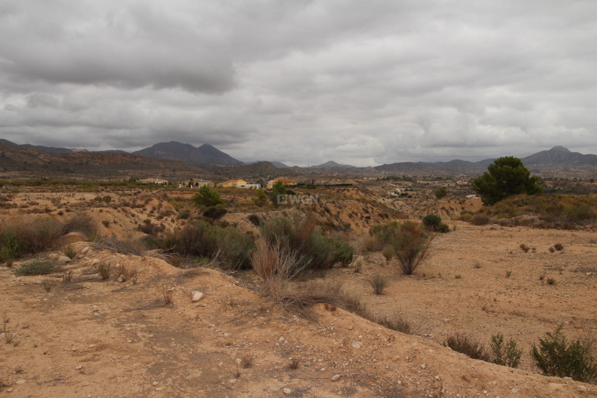 Resale - Plot / Land - Abanilla - Inland