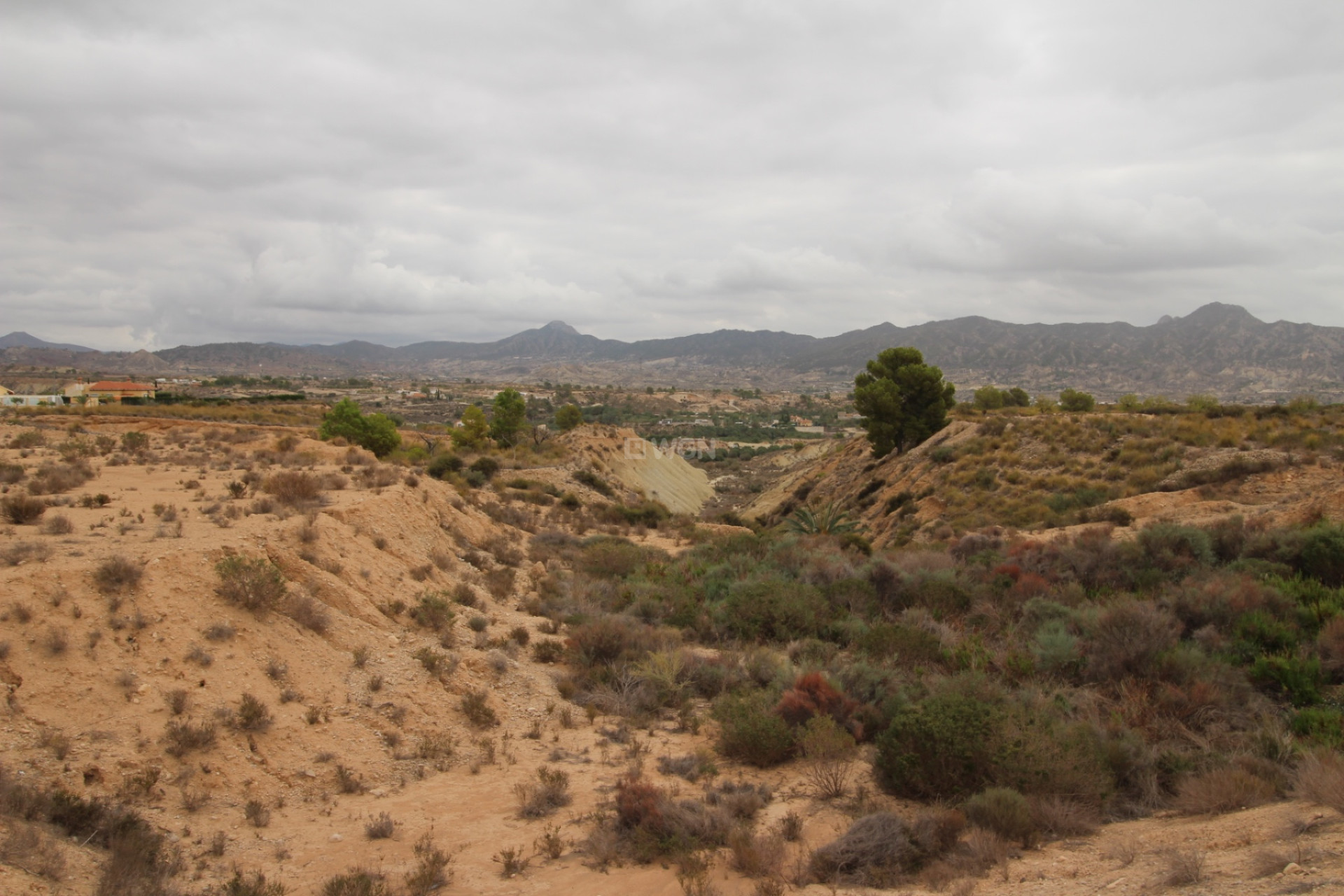 Resale - Plot / Land - Abanilla - Inland