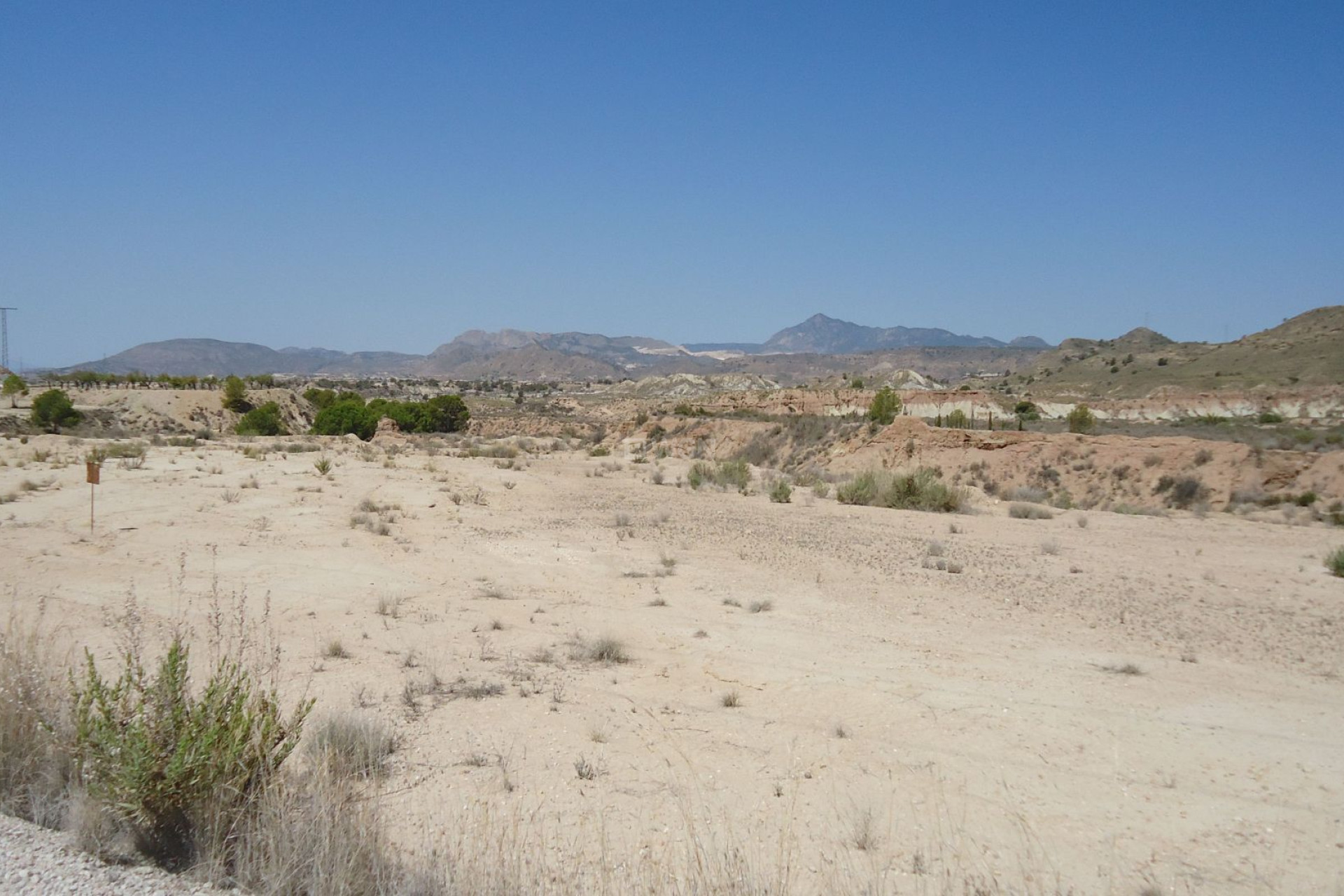 Resale - Plot / Land - Abanilla - Inland
