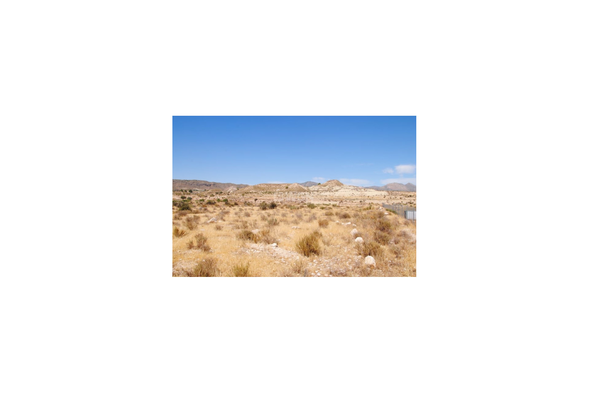 Resale - Plot / Land - Abanilla - Inland
