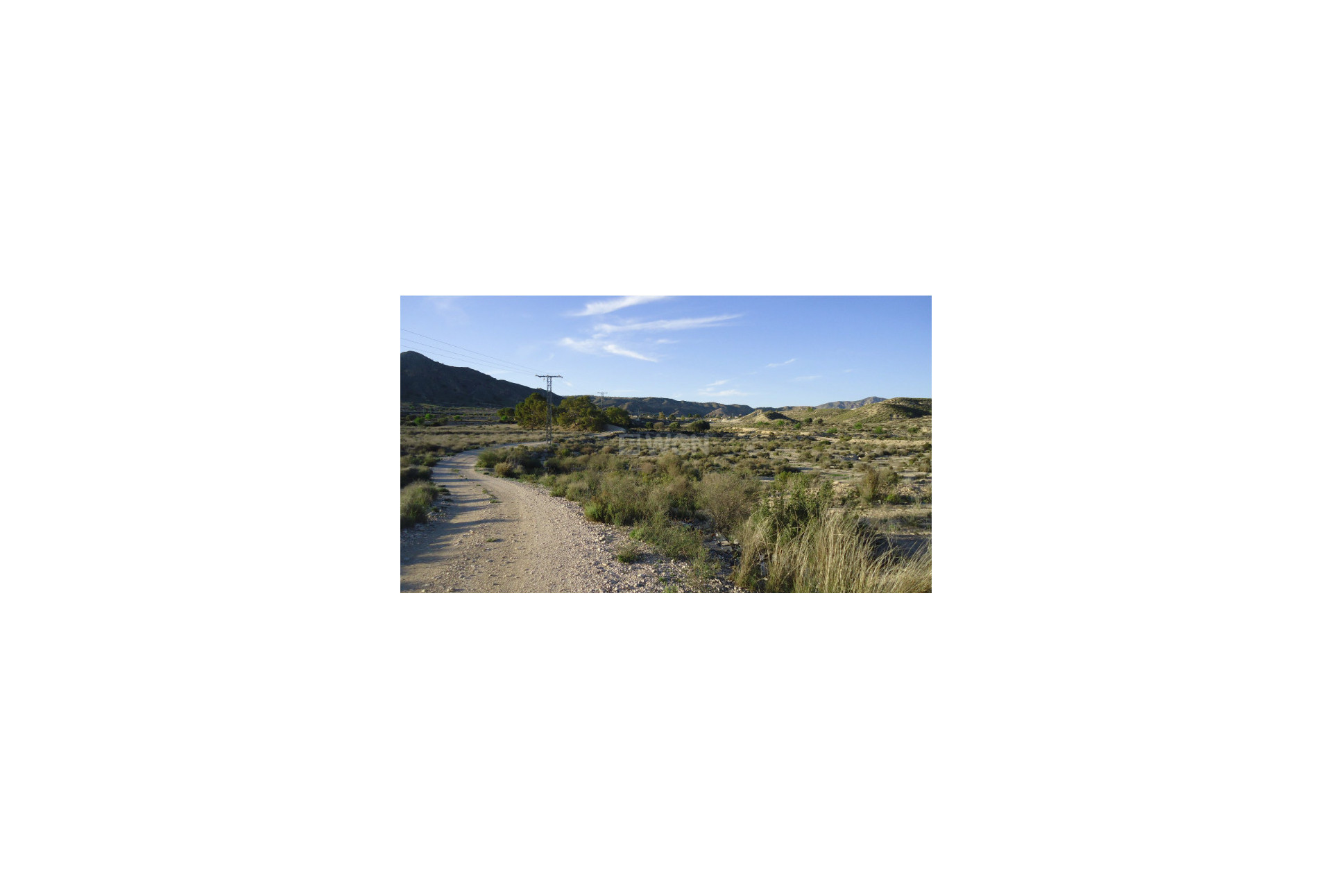 Resale - Plot / Land - Abanilla - Inland