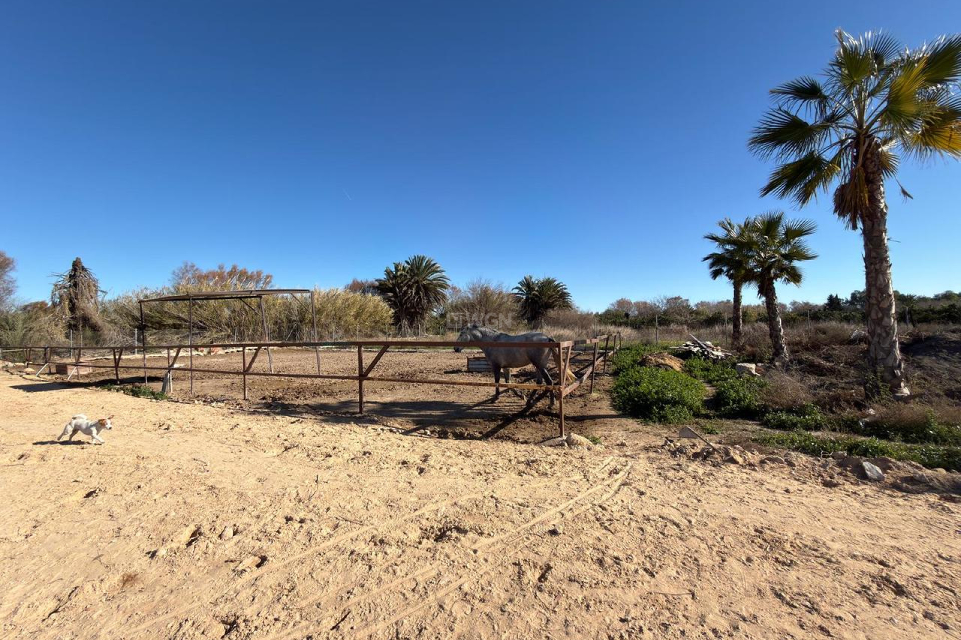 Resale - Plot / Land - Algorfa - Inland