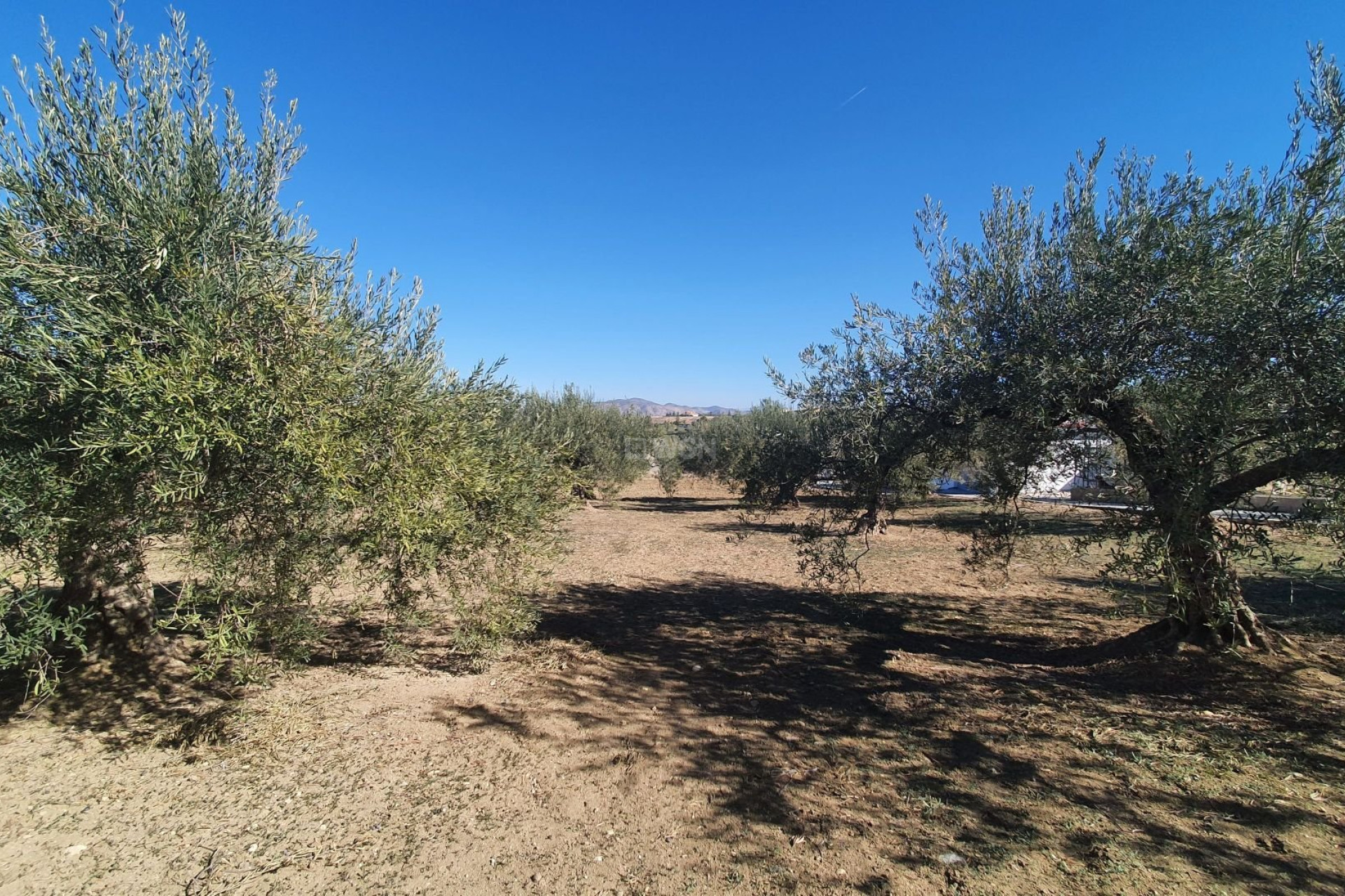 Resale - Plot / Land - Alhaurin el Grande - Inland