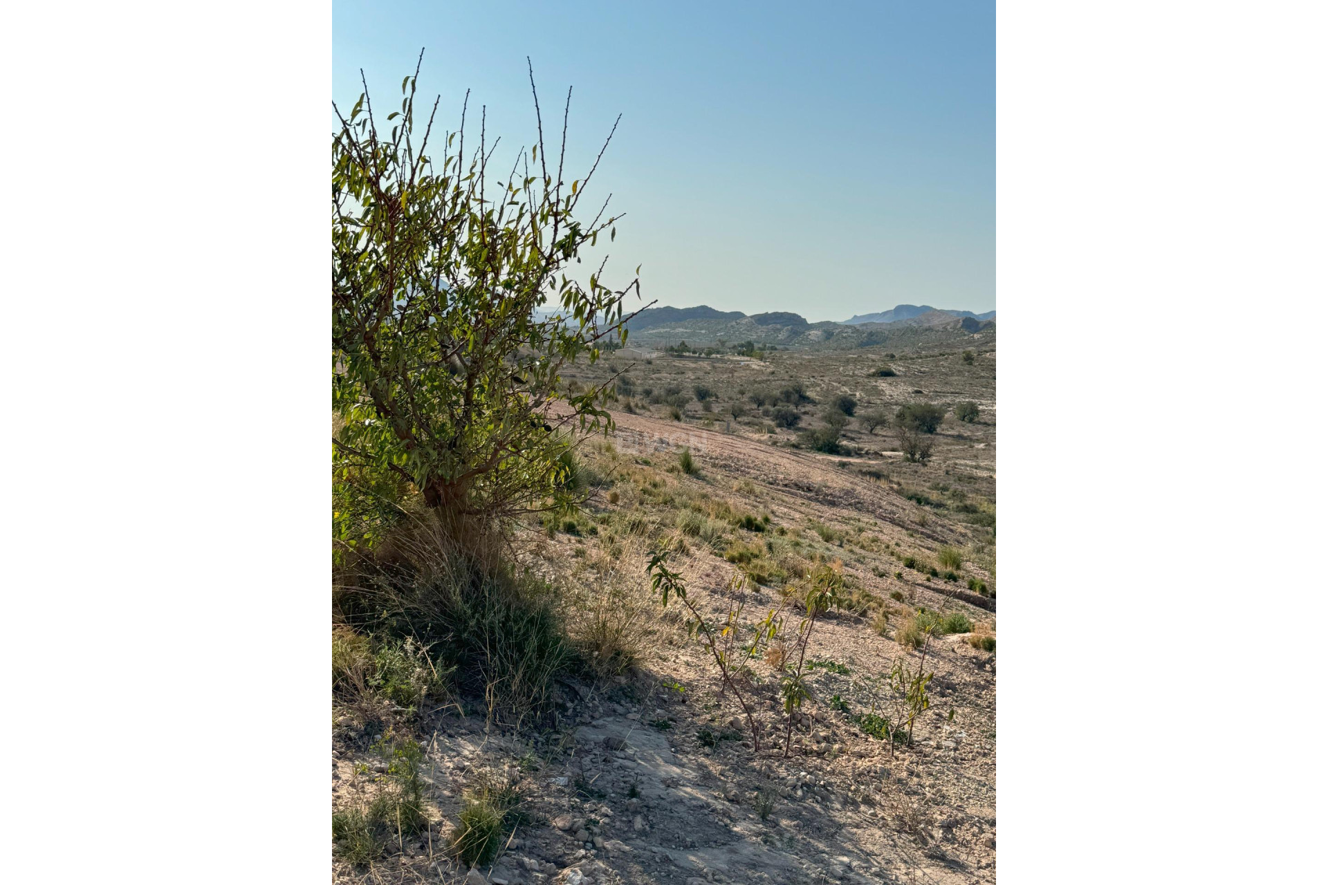 Resale - Plot / Land - Alicante - Costa Blanca