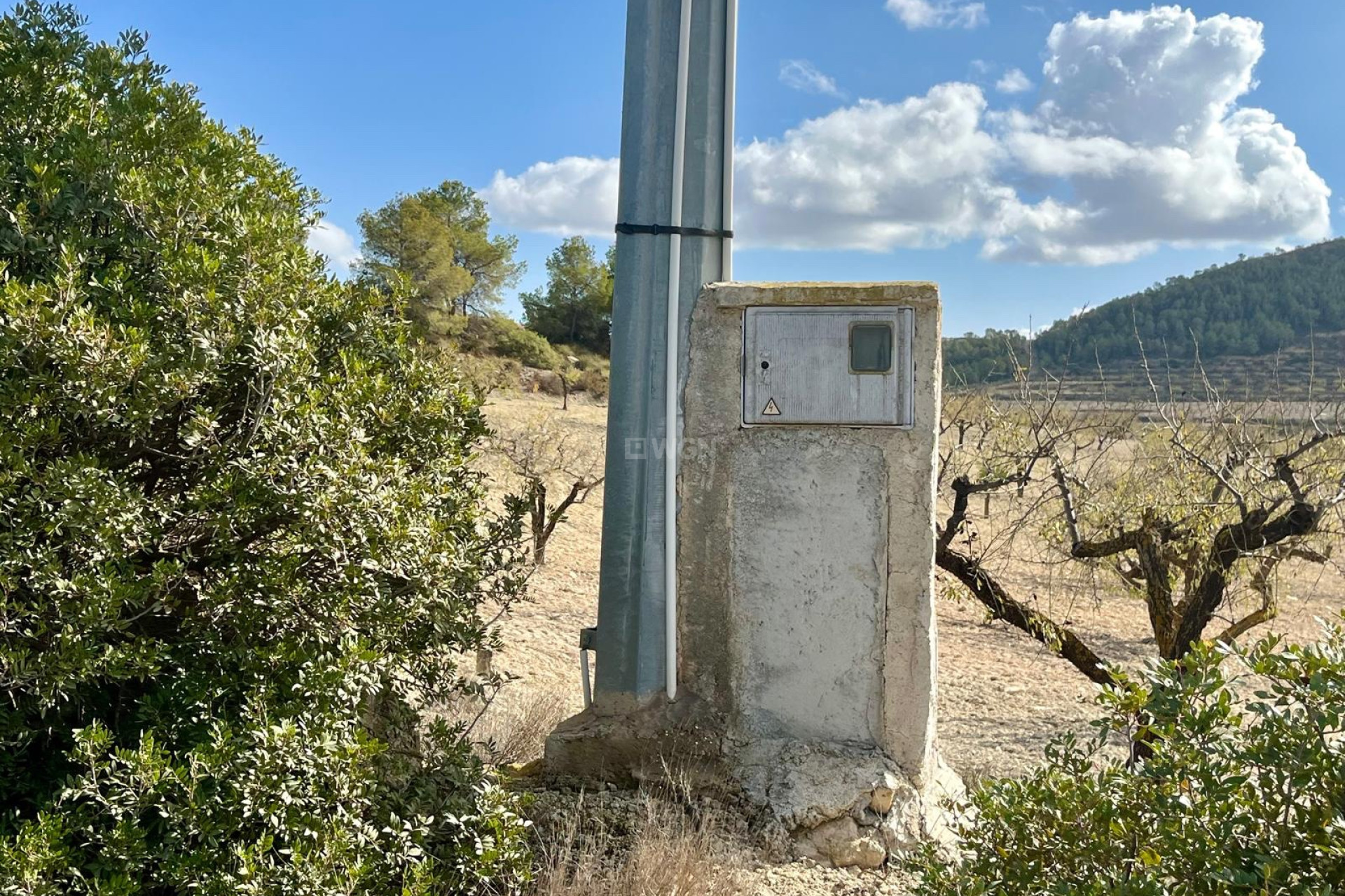 Resale - Plot / Land - Bullas - Inland