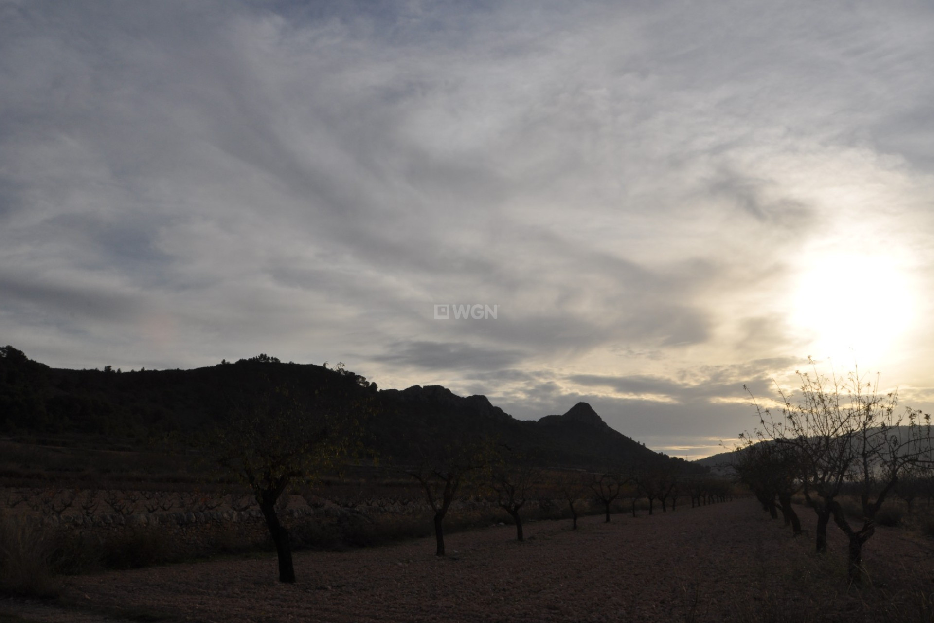 Resale - Plot / Land - Canada De La Lena - Inland