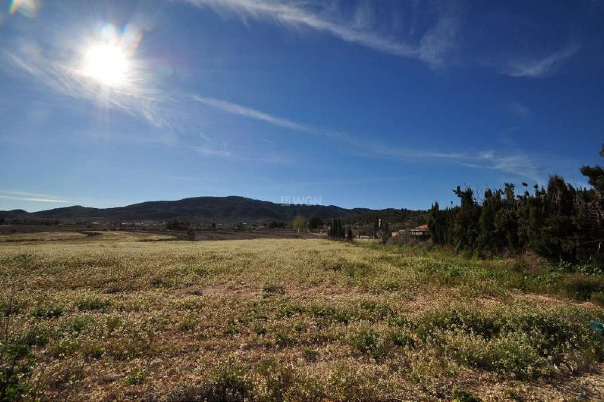 Resale - Plot / Land - Chinorlet - Inland