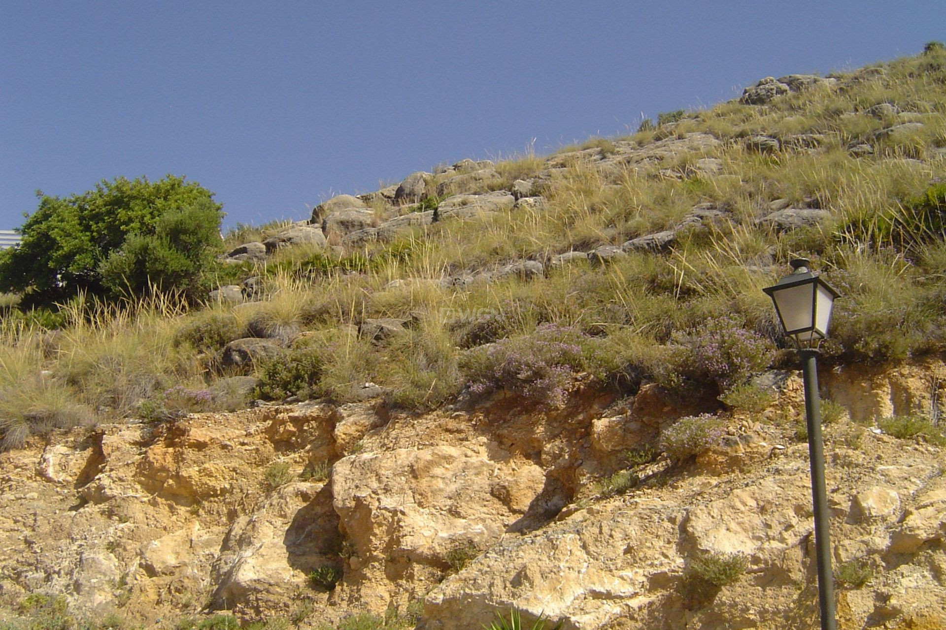 Resale - Plot / Land - Coin - Inland