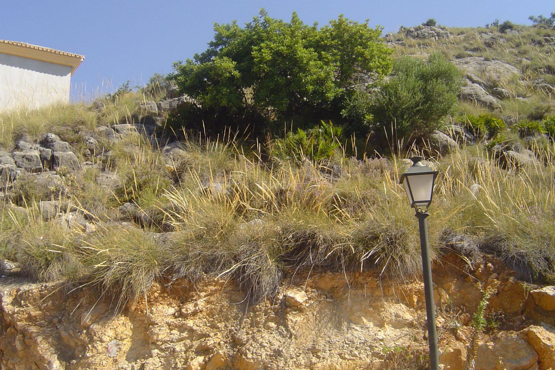 Resale - Plot / Land - Coin - Inland