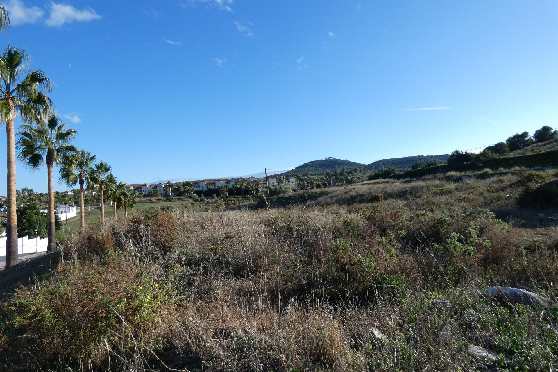 Resale - Plot / Land - Coin - Inland