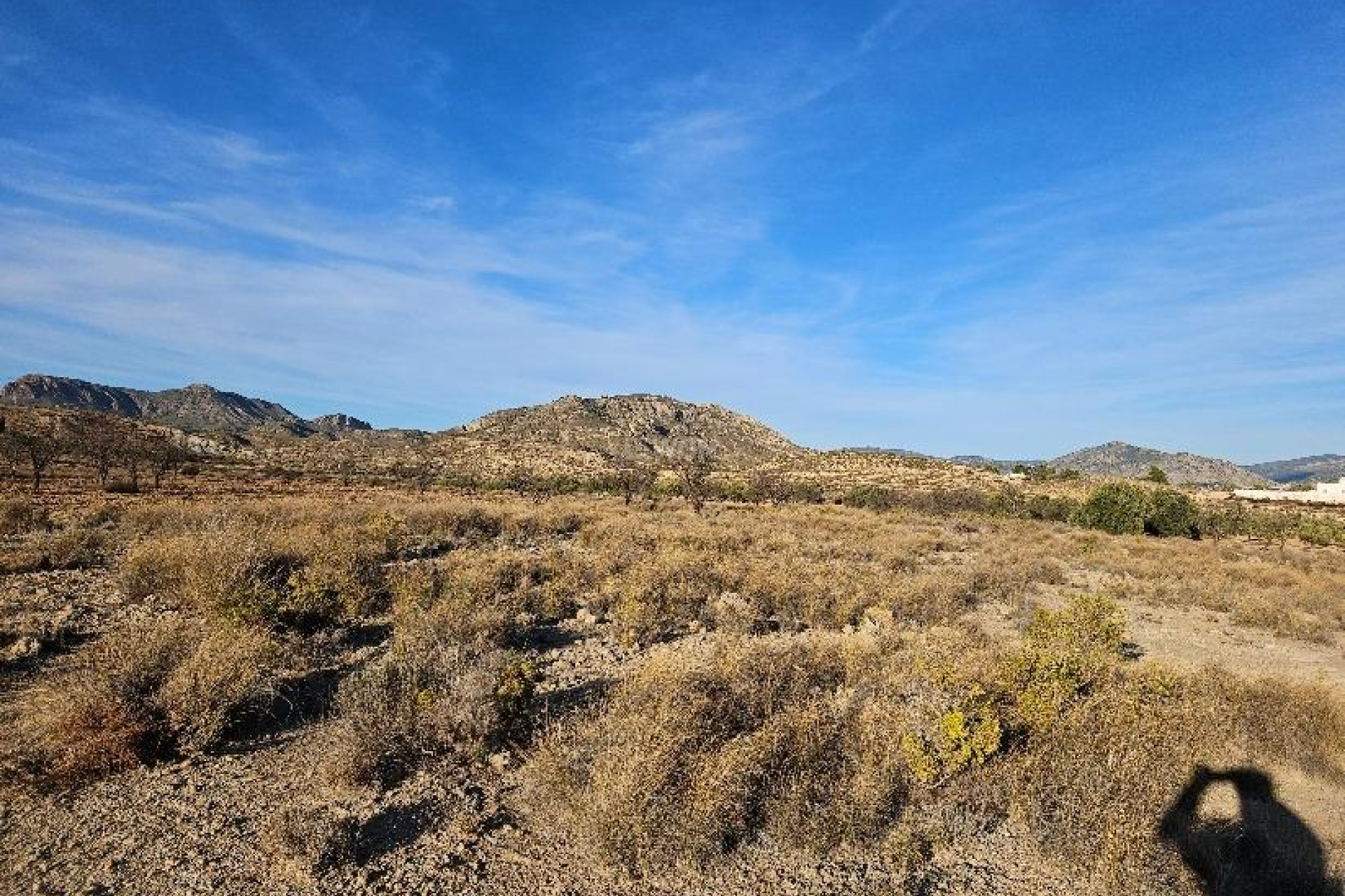 Resale - Plot / Land - Elda - 03600