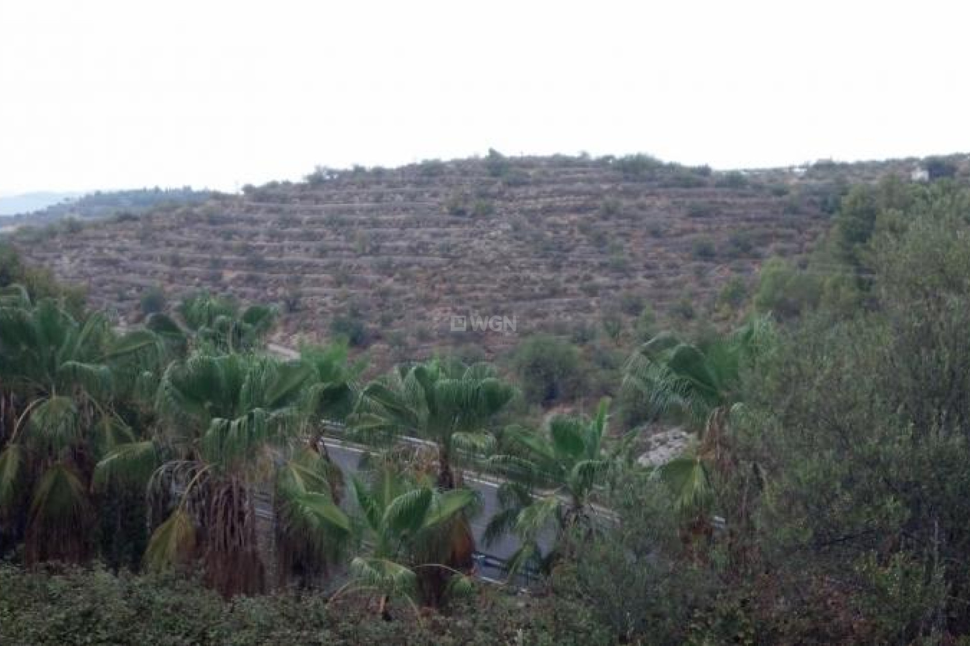 Resale - Plot / Land - Gandia - Inland