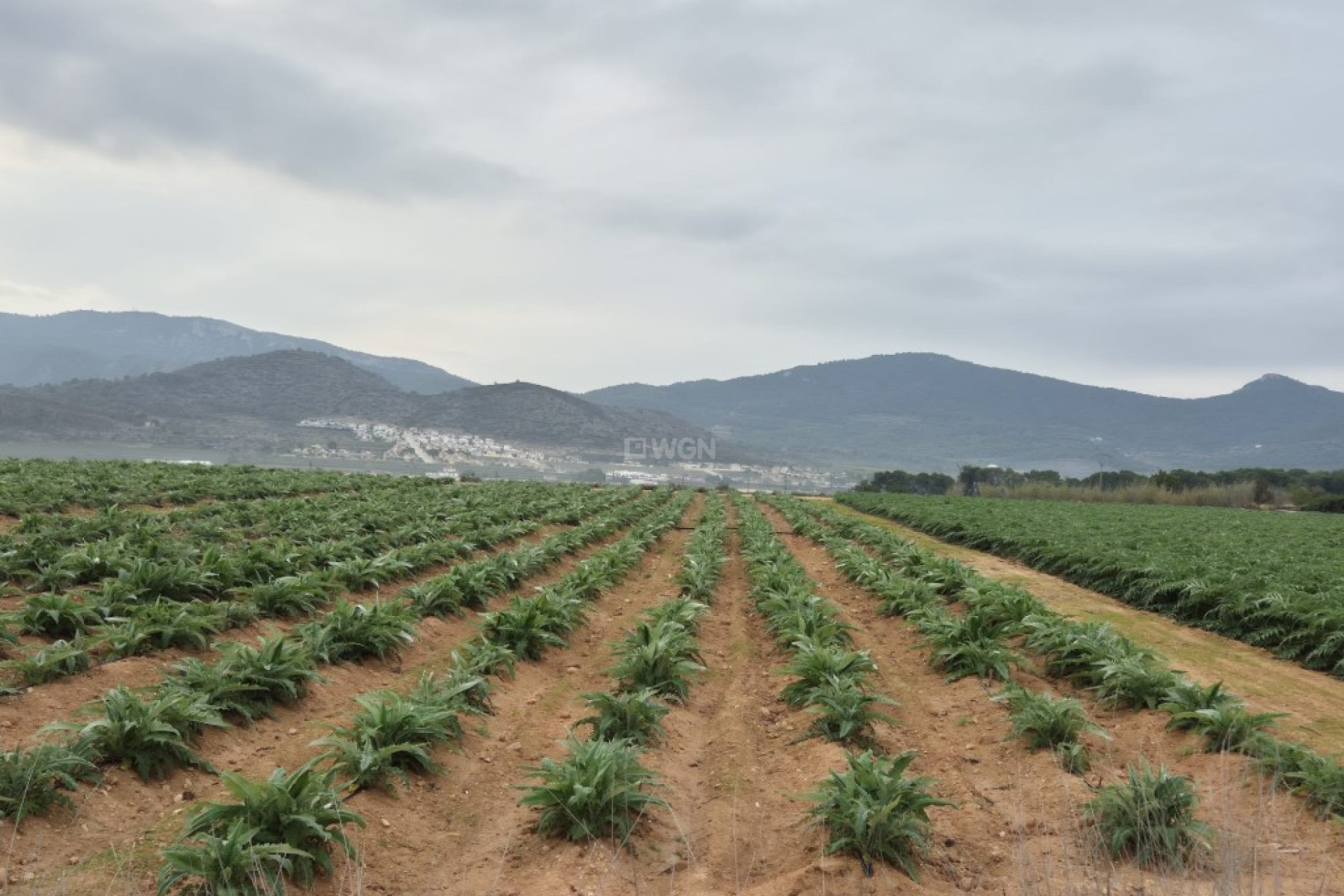 Resale - Plot / Land - Hondón de las Nieves - Inland