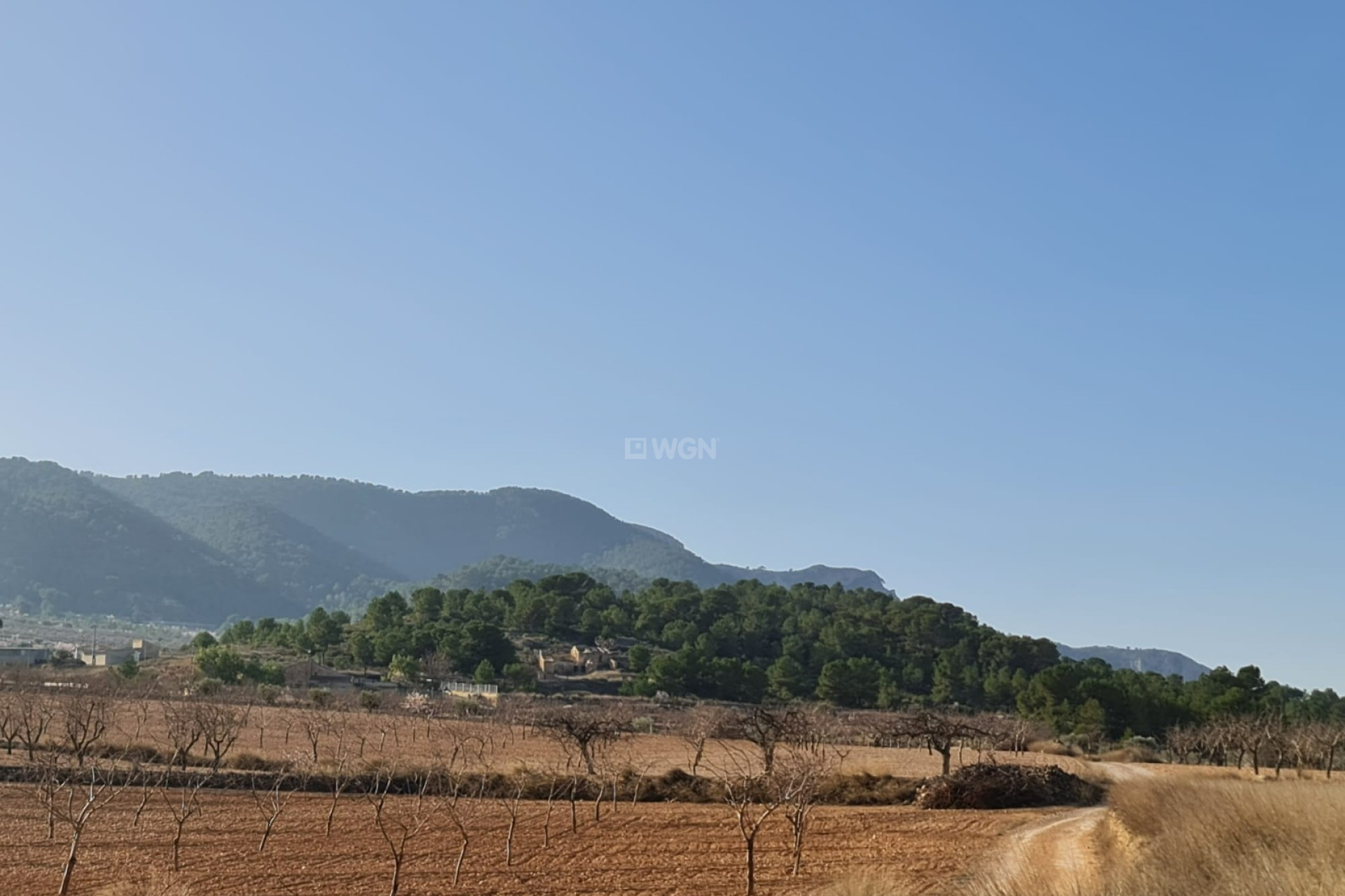 Resale - Plot / Land - Jumilla - Inland