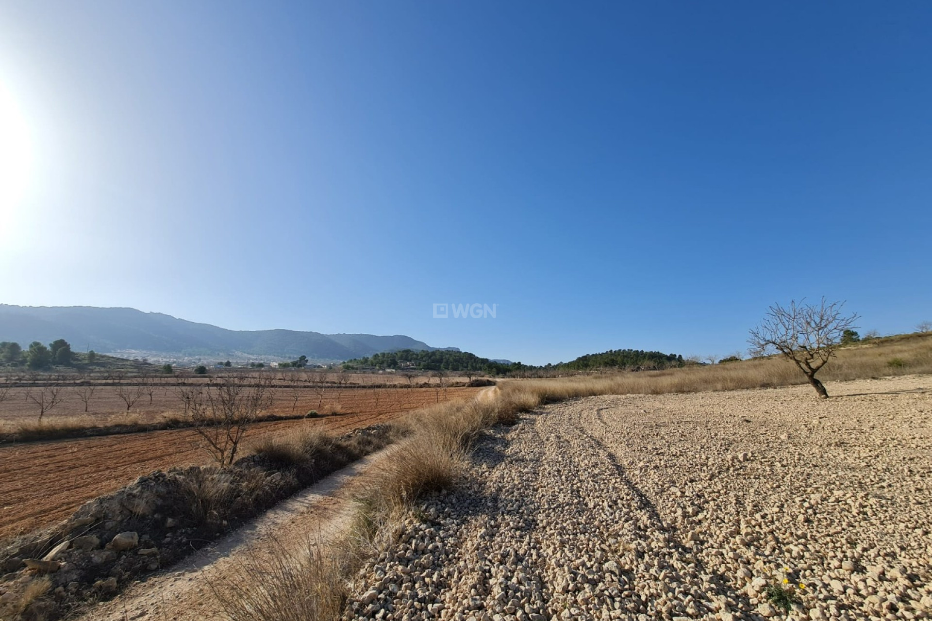 Resale - Plot / Land - Jumilla - Inland