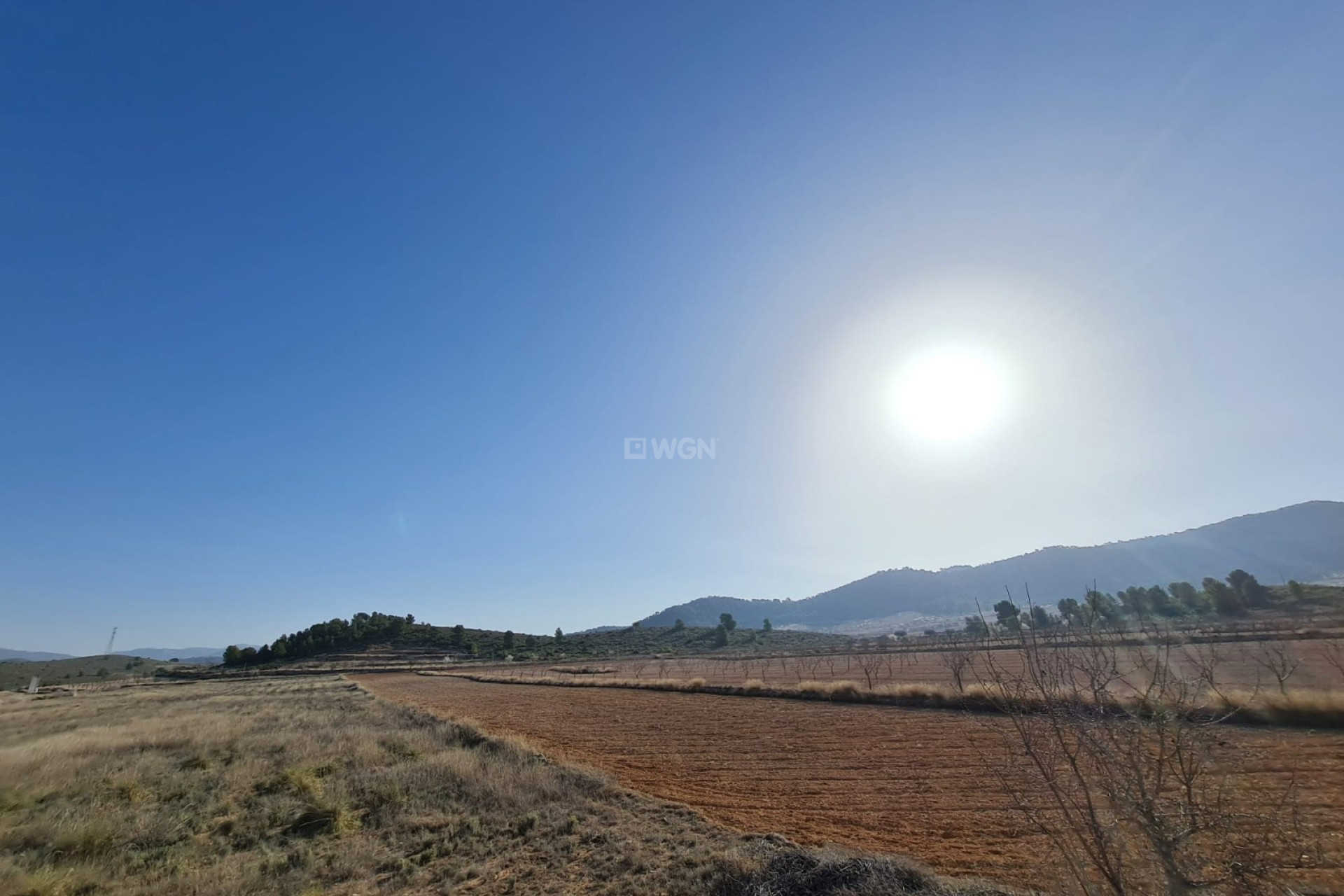 Resale - Plot / Land - Jumilla - Inland