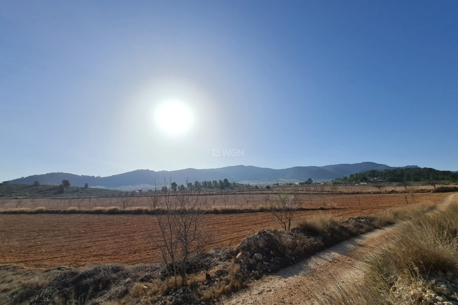 Resale - Plot / Land - Jumilla - Inland
