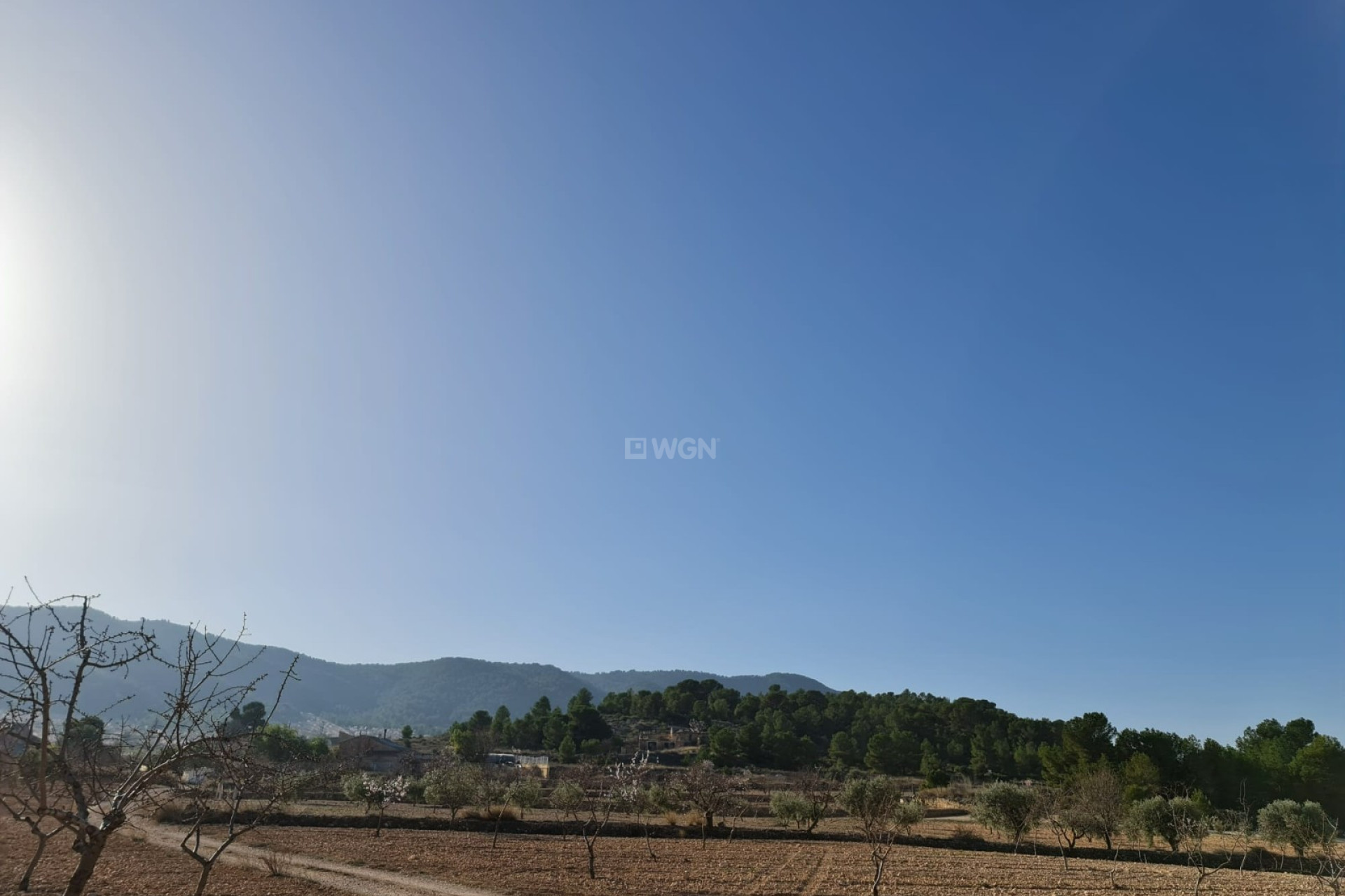 Resale - Plot / Land - Jumilla - Inland