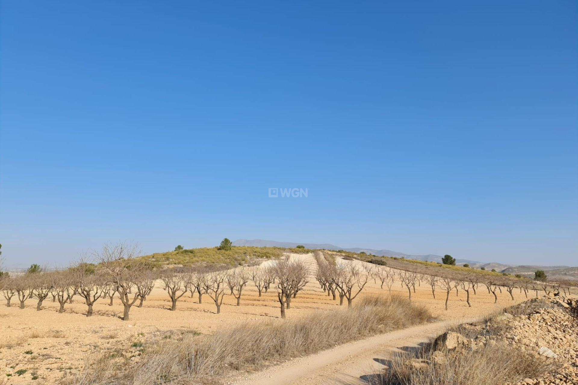 Resale - Plot / Land - Jumilla - Inland