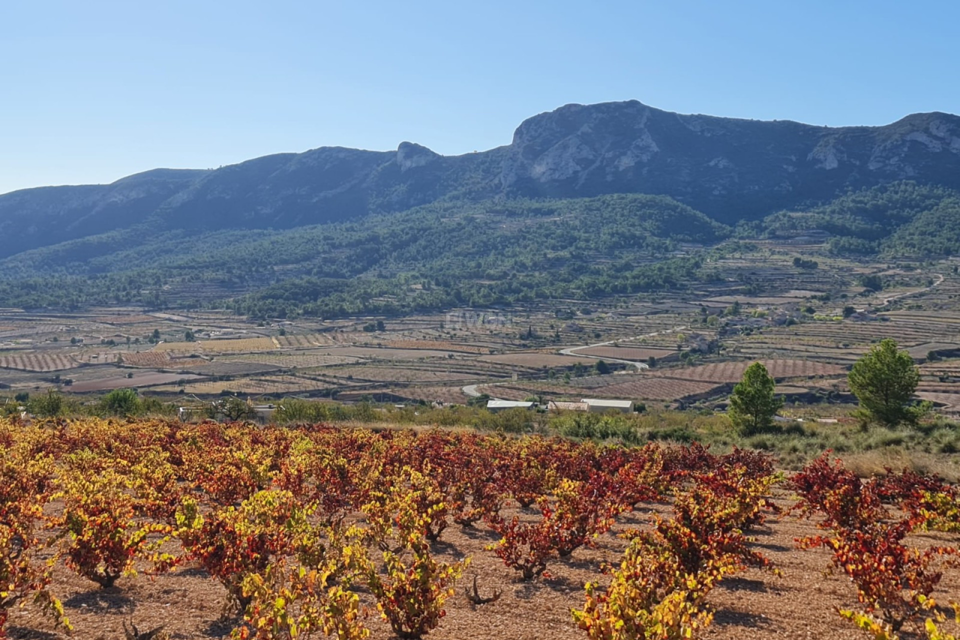 Resale - Plot / Land - La Romana - Inland